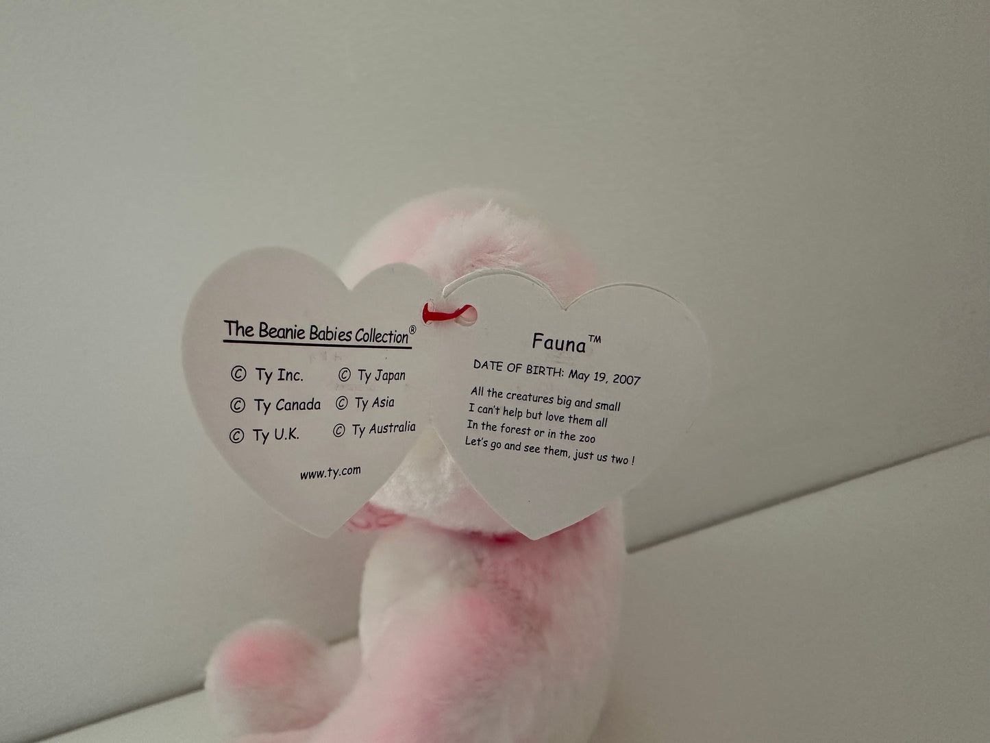 Ty Beanie Baby “Fauna” the Pink Bear! (5 inch)