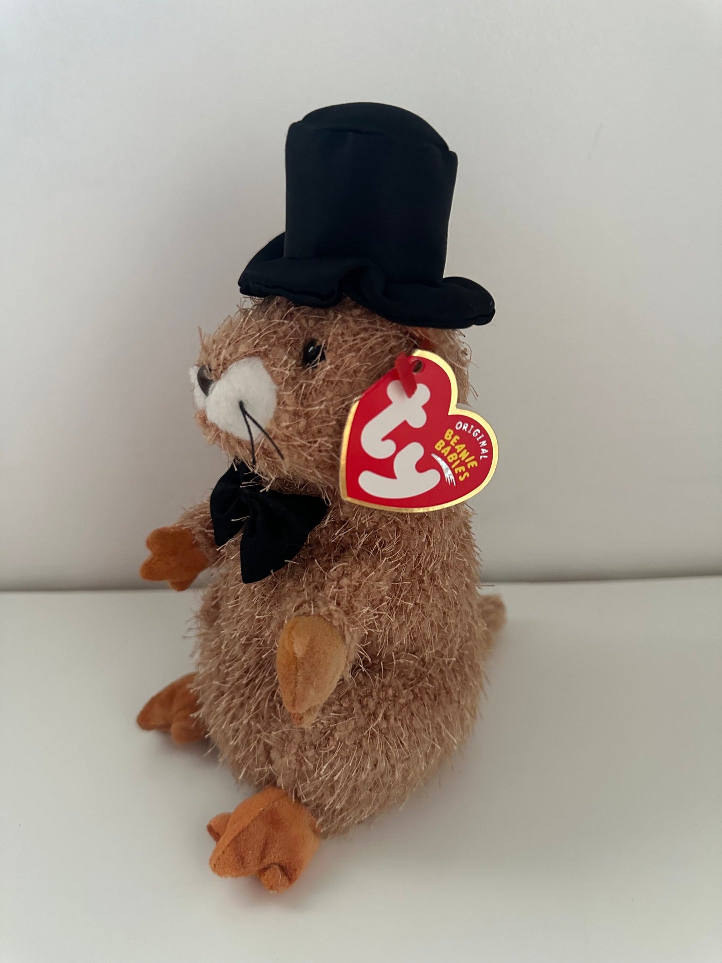 Ty Beanie Baby “Punxsutawney Phil 2004” the Groundhog Day  (6.5 inch)