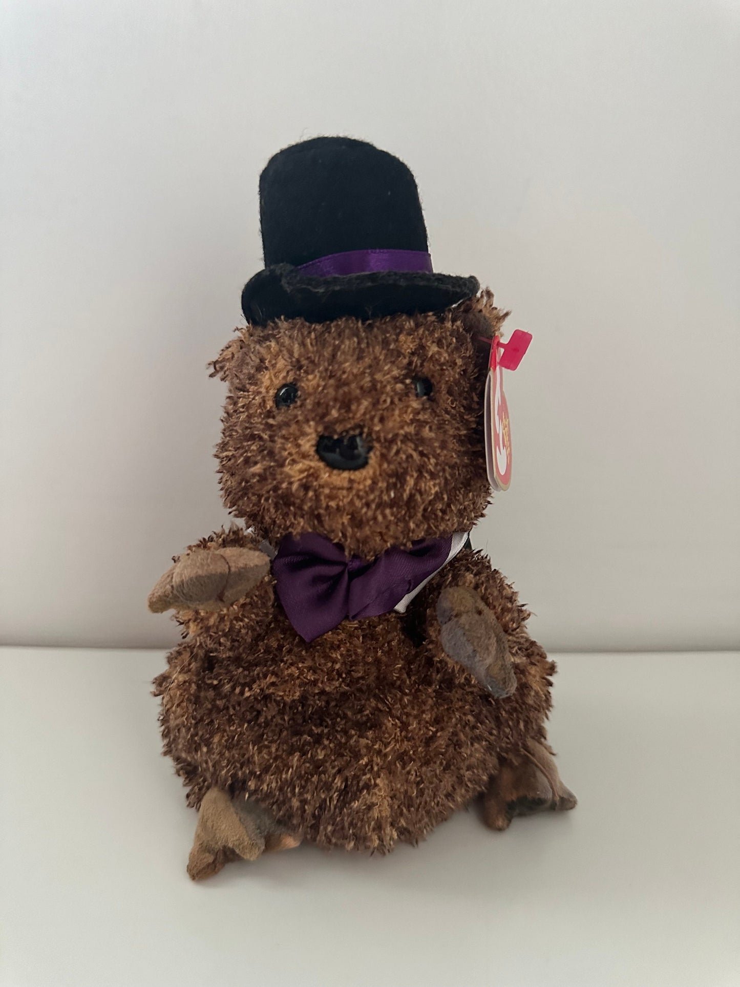 Ty Beanie Baby “Punxsutawney Phil” the Groundhog Day  with Purple Bow Tie (6.5 inch)