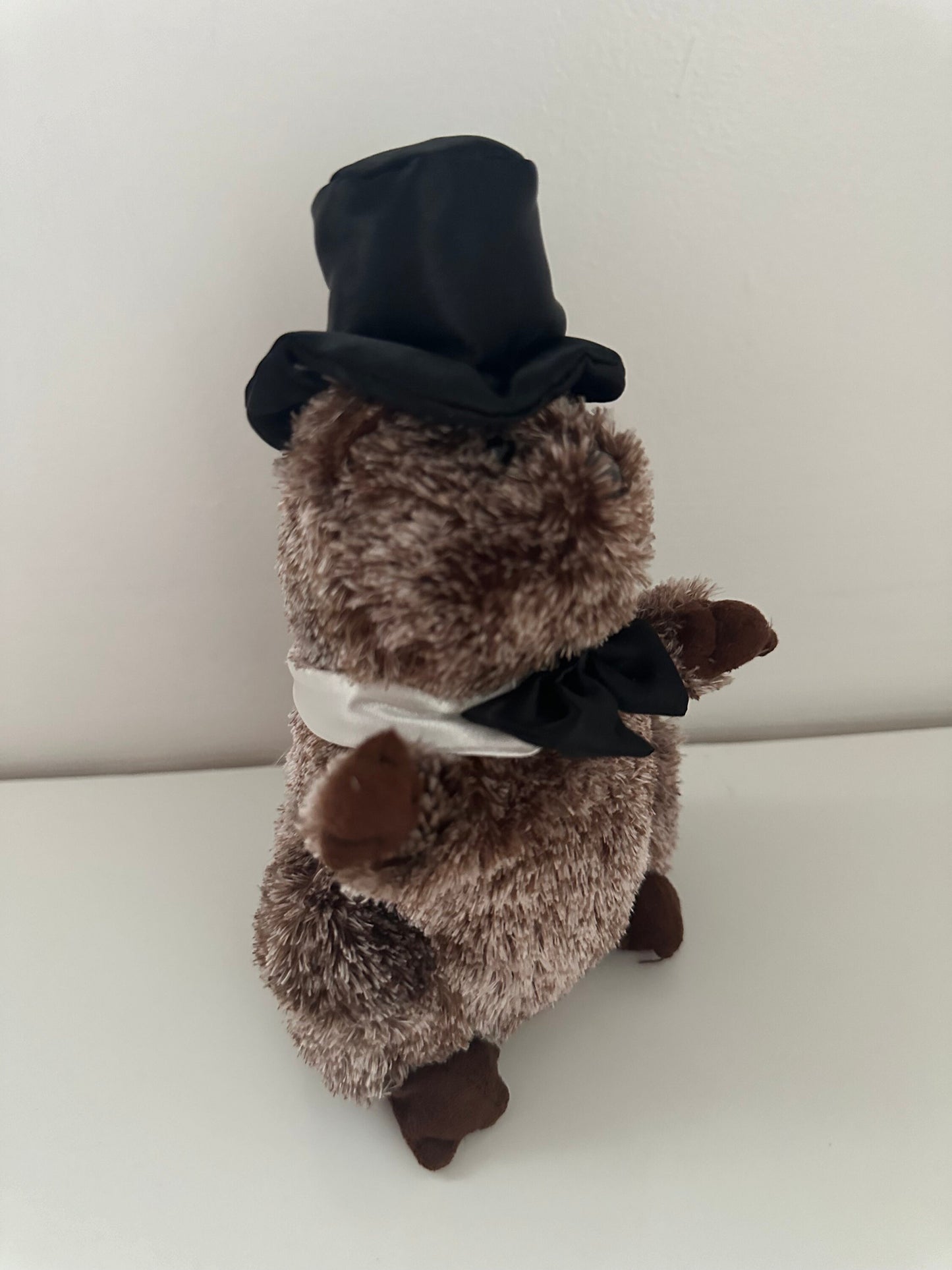 Ty Beanie Baby “Punxsutawney Phil” the Groundhog  Black Bow Tie (6.5 inch)