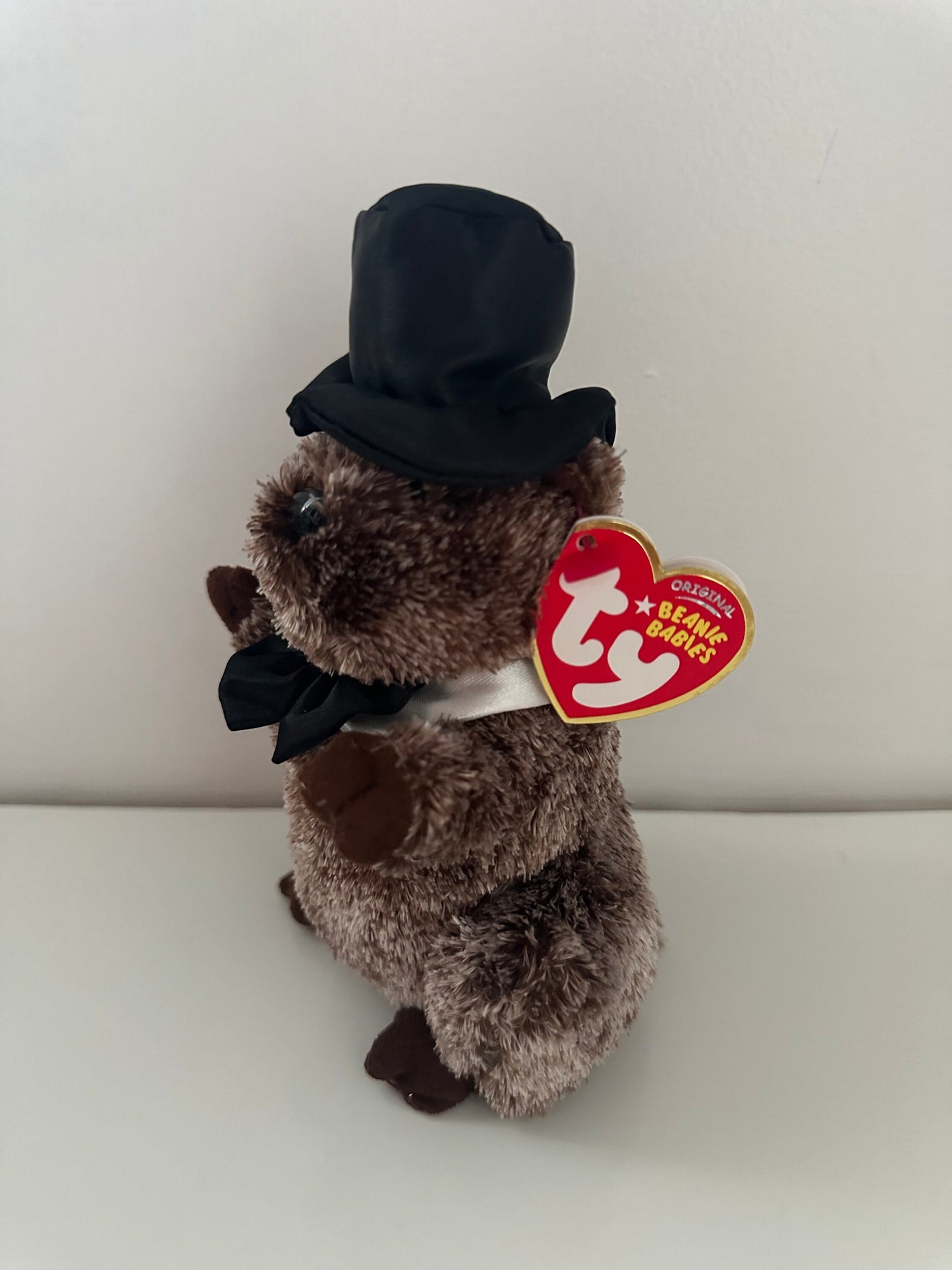 Ty Beanie Baby “Punxsutawney Phil” the Groundhog  Black Bow Tie (6.5 inch)