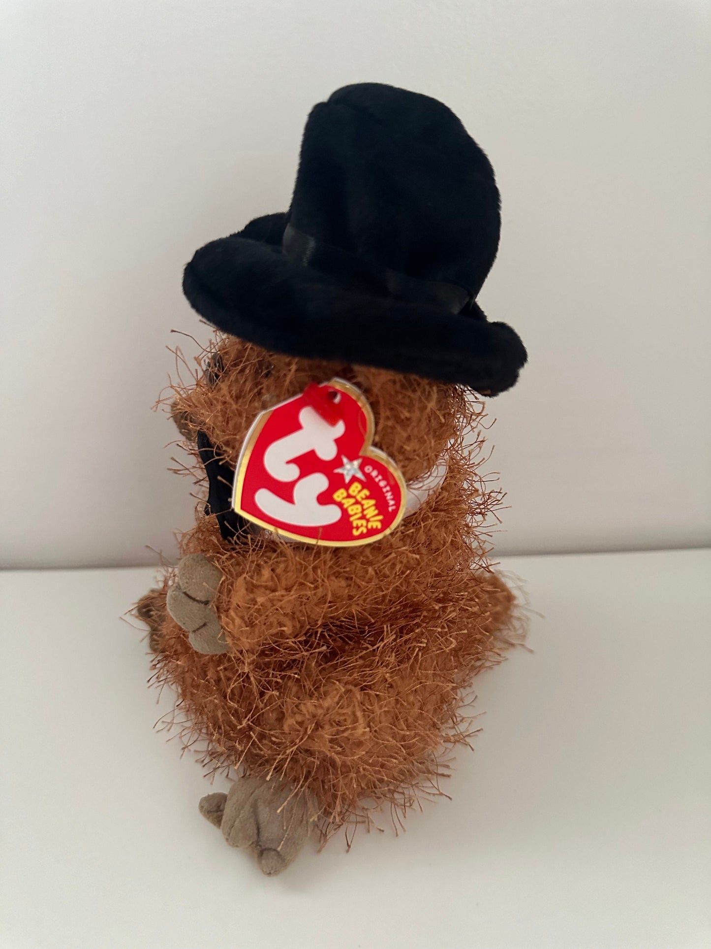 Ty Beanie Baby “Punxsutawney Phil” the Groundhog Day  - Black Bow Tie (6.5 inch)