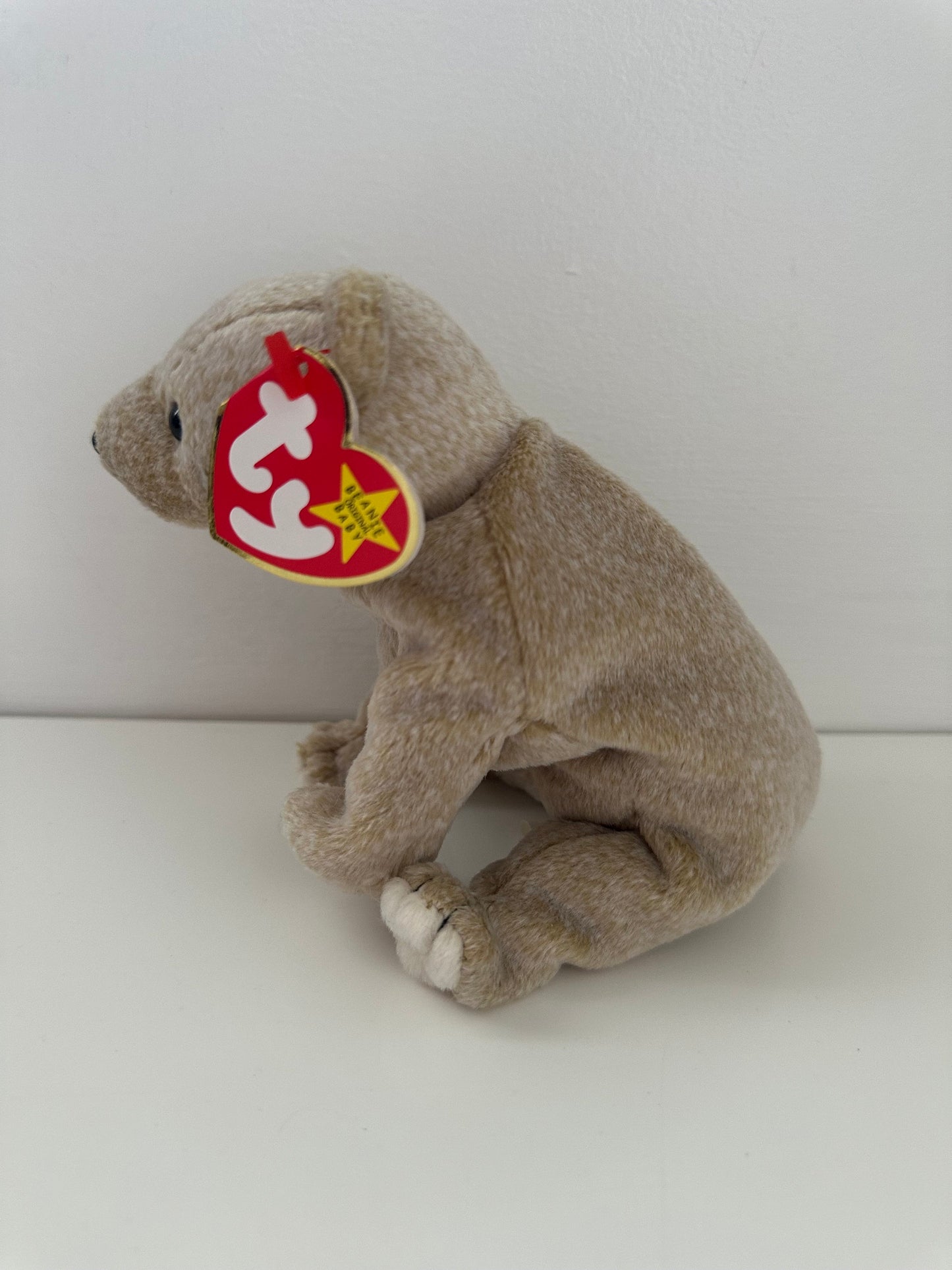 Ty Beanie Baby “Almond” the Bear (7 inch)