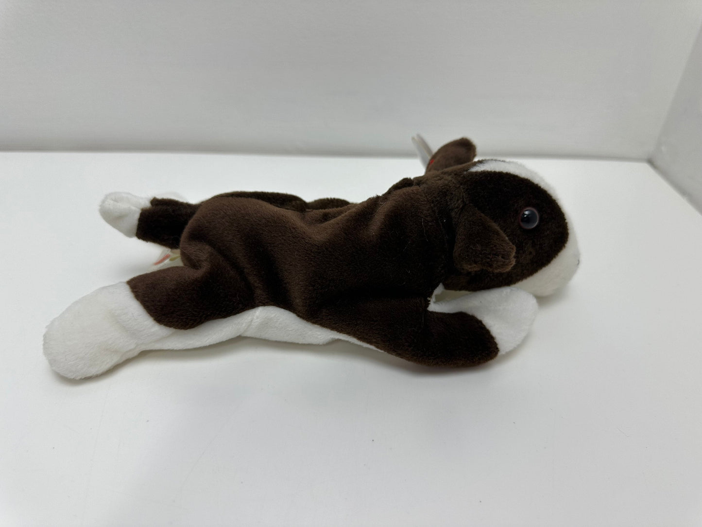 Ty Beanie Baby “Bruno” the Bull Terrier Dog  - Handmade in Indonesia with Canadian Tush (8.5 inch)