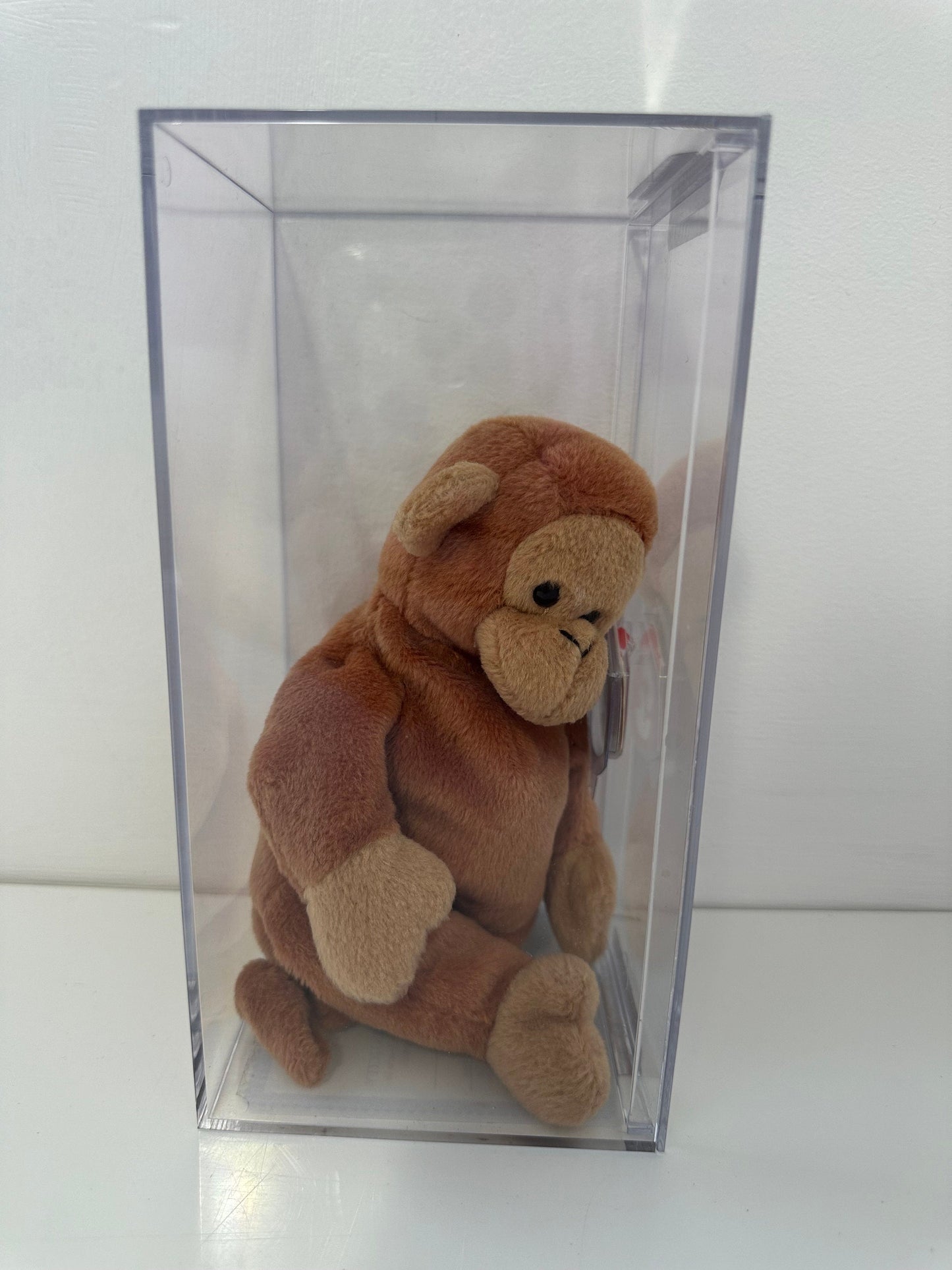 Ty Beanie Baby “Bongo” the Monkey Brown Tail - 3rd Generation - Authenticated MWMT MQ! *RARE* (8.5 inch)