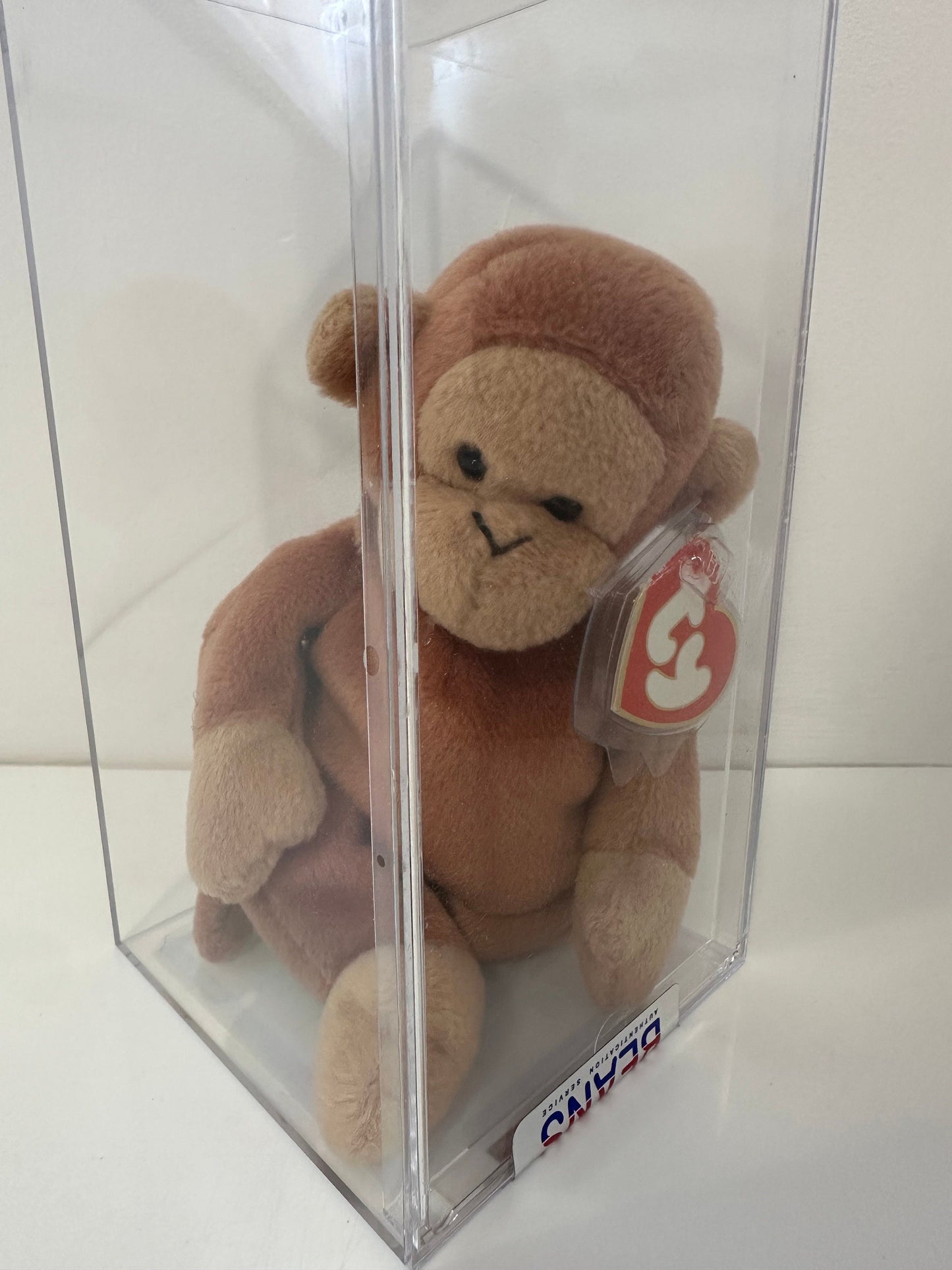 Ty Beanie Baby “Bongo” the Monkey Brown Tail - 3rd Generation - Authenticated MWMT MQ! *RARE* (8.5 inch)