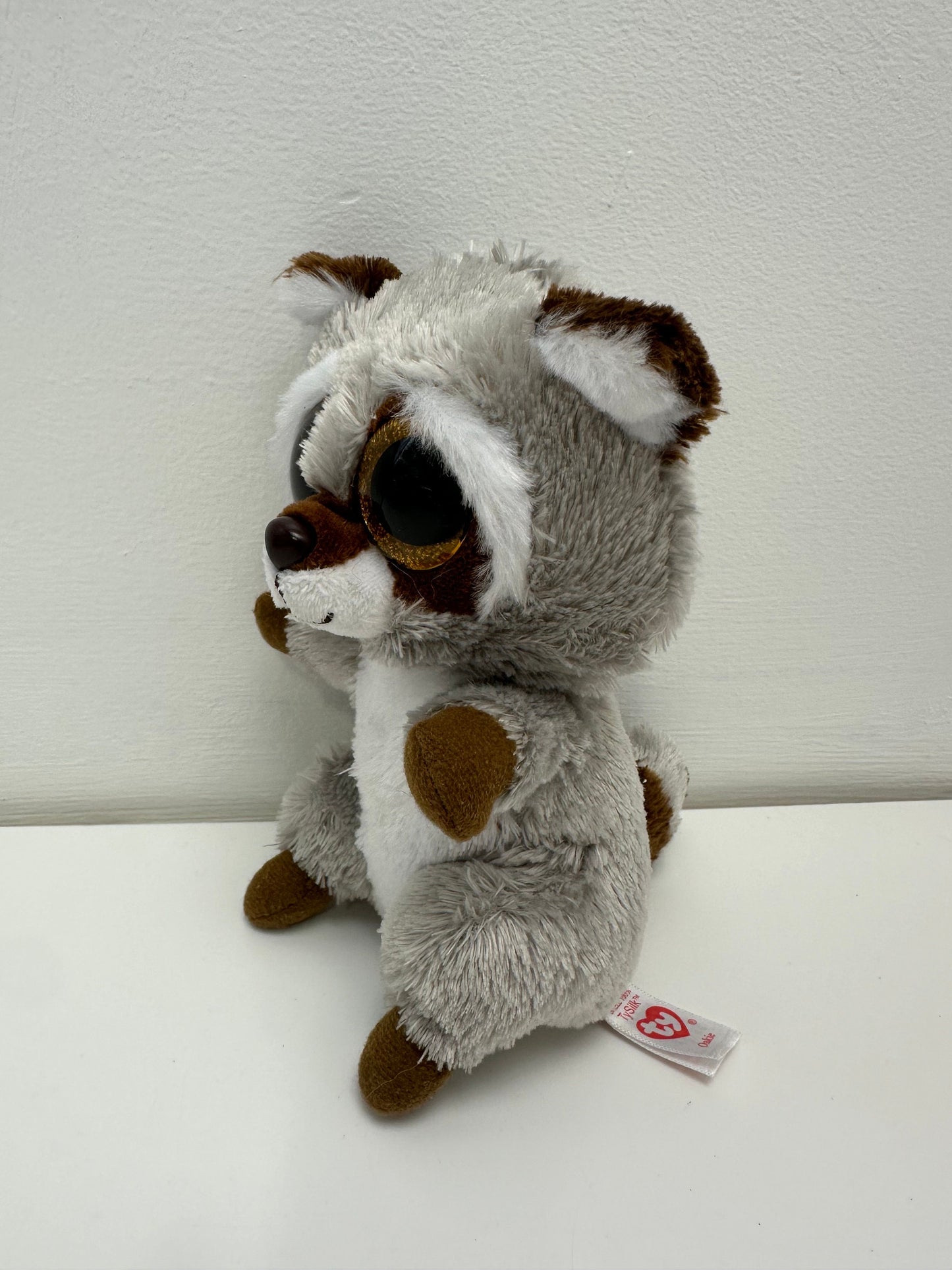 Ty Beanie Boo “Oakie” the Grey Racoon - No Hang Tag (6 inch)