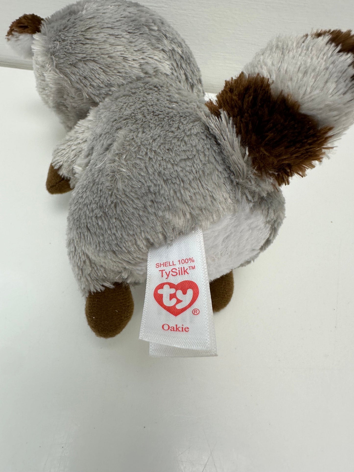 Ty Beanie Boo “Oakie” the Grey Racoon - No Hang Tag (6 inch)