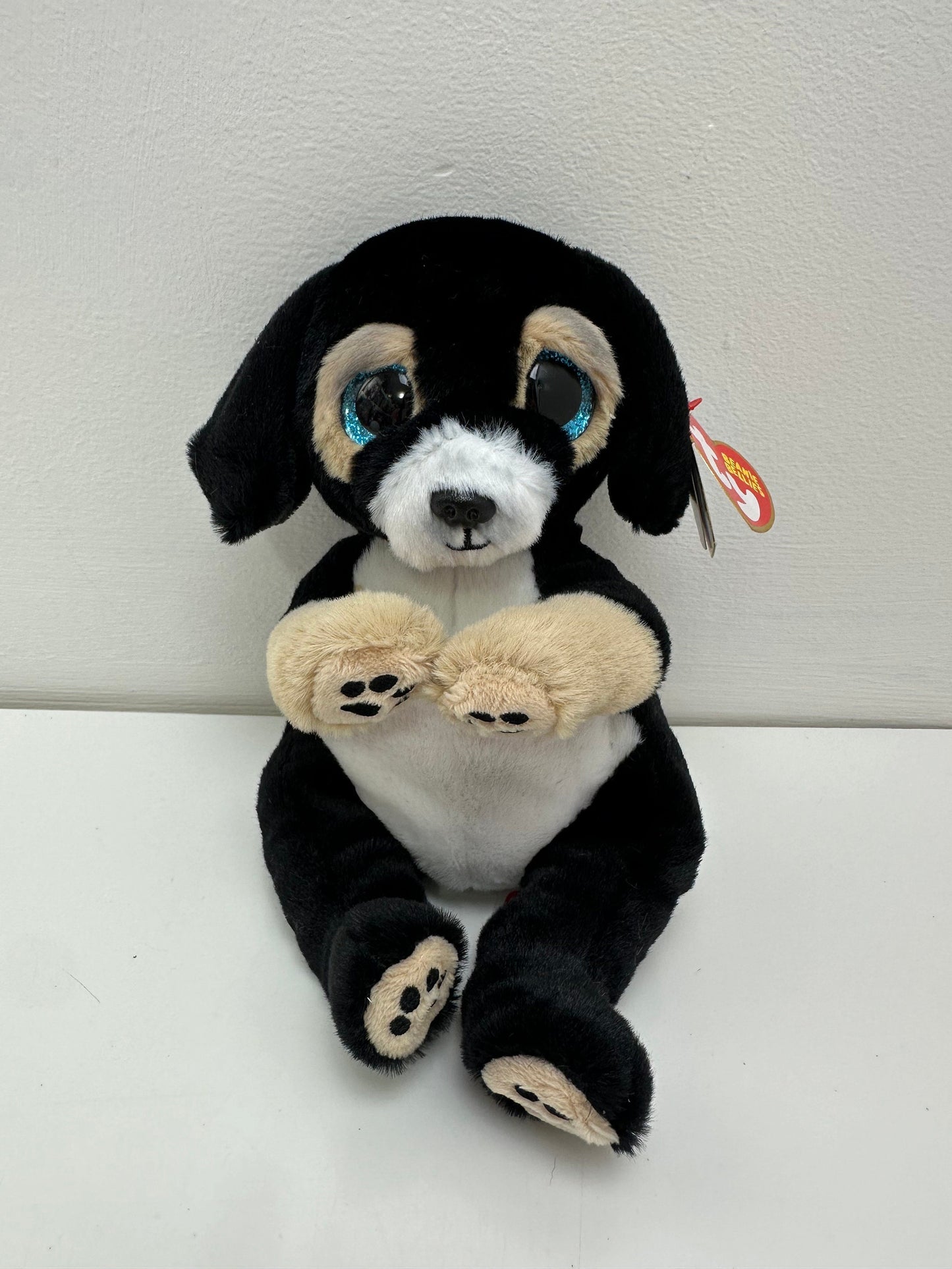 Ty Beanie Bellies “Ranger” the Dog Plush! (8 inch)