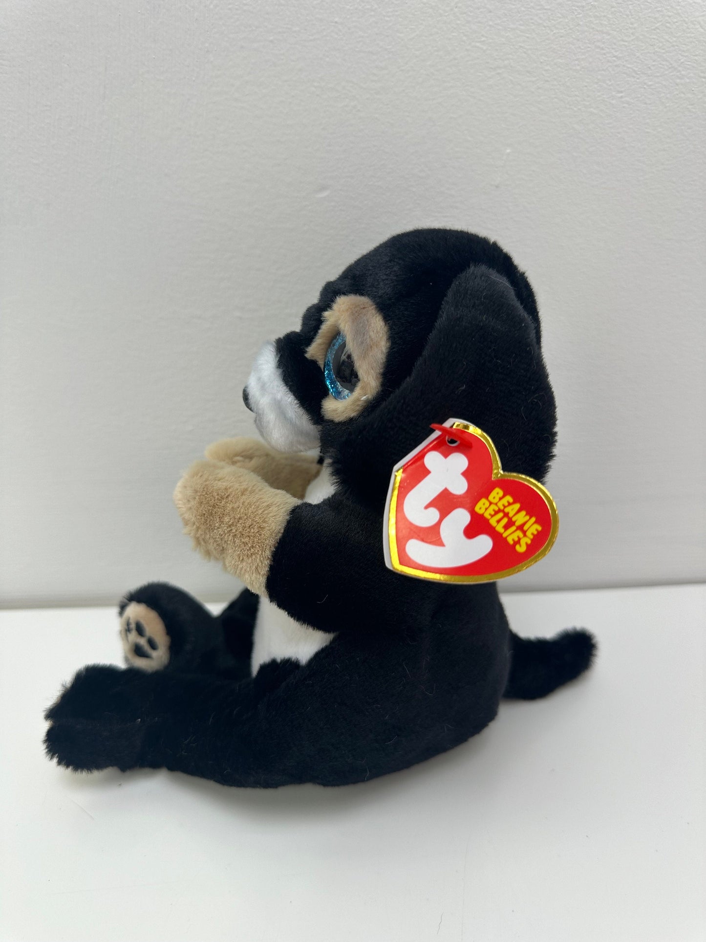 Ty Beanie Bellies “Ranger” the Dog Plush! (8 inch)