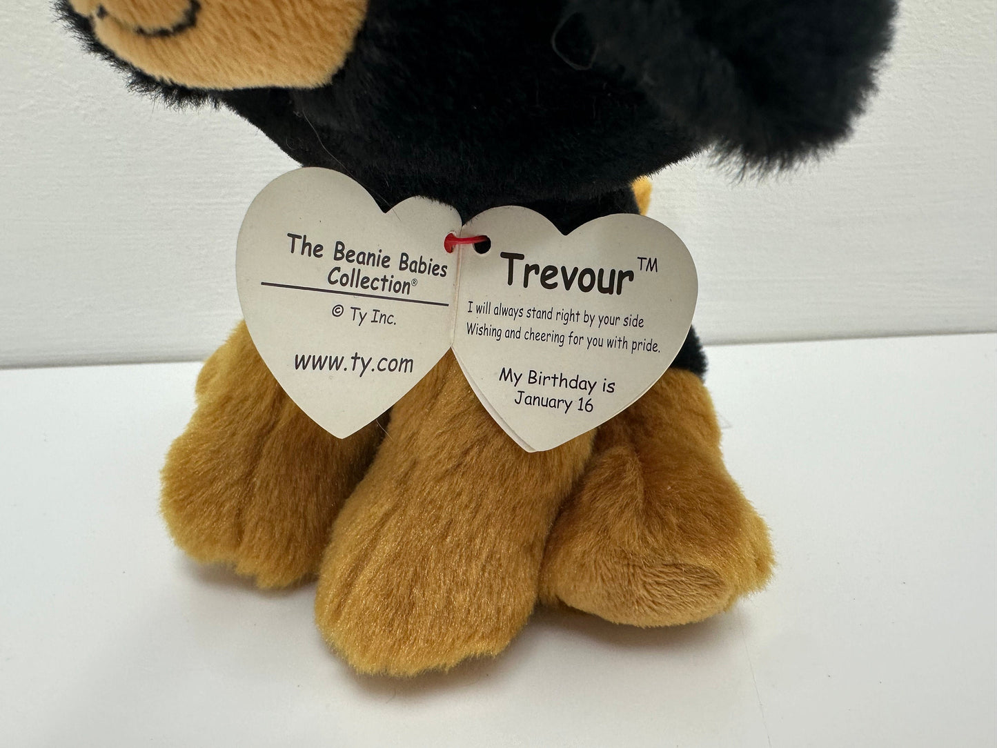 TY Beanie Baby Trevour the Rottweiler Dog (6 inch)