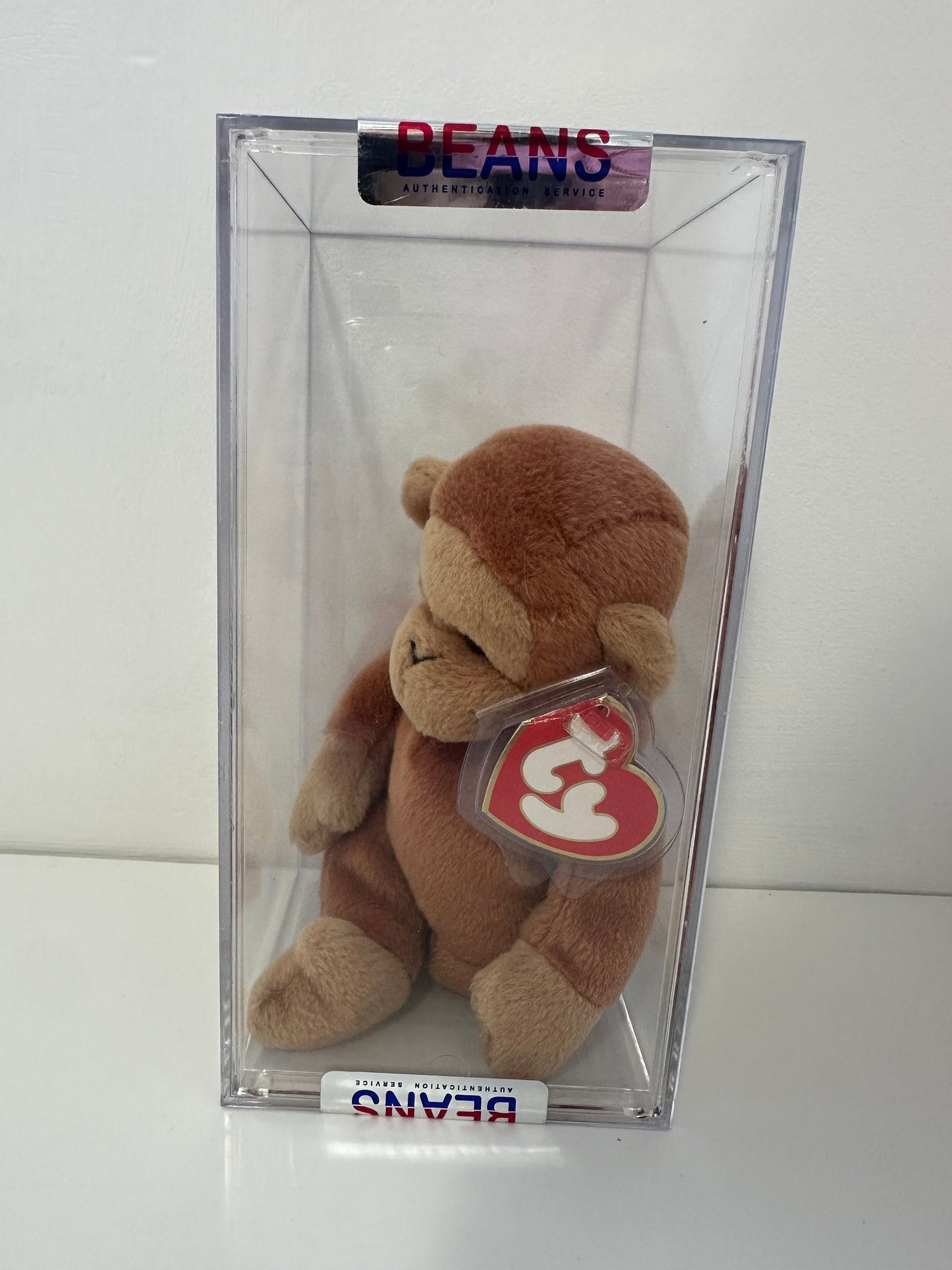 Ty Beanie Baby “Bongo” the Monkey Brown Tail - 3rd Generation - Authenticated MWMT MQ! *RARE* (8.5 inch)