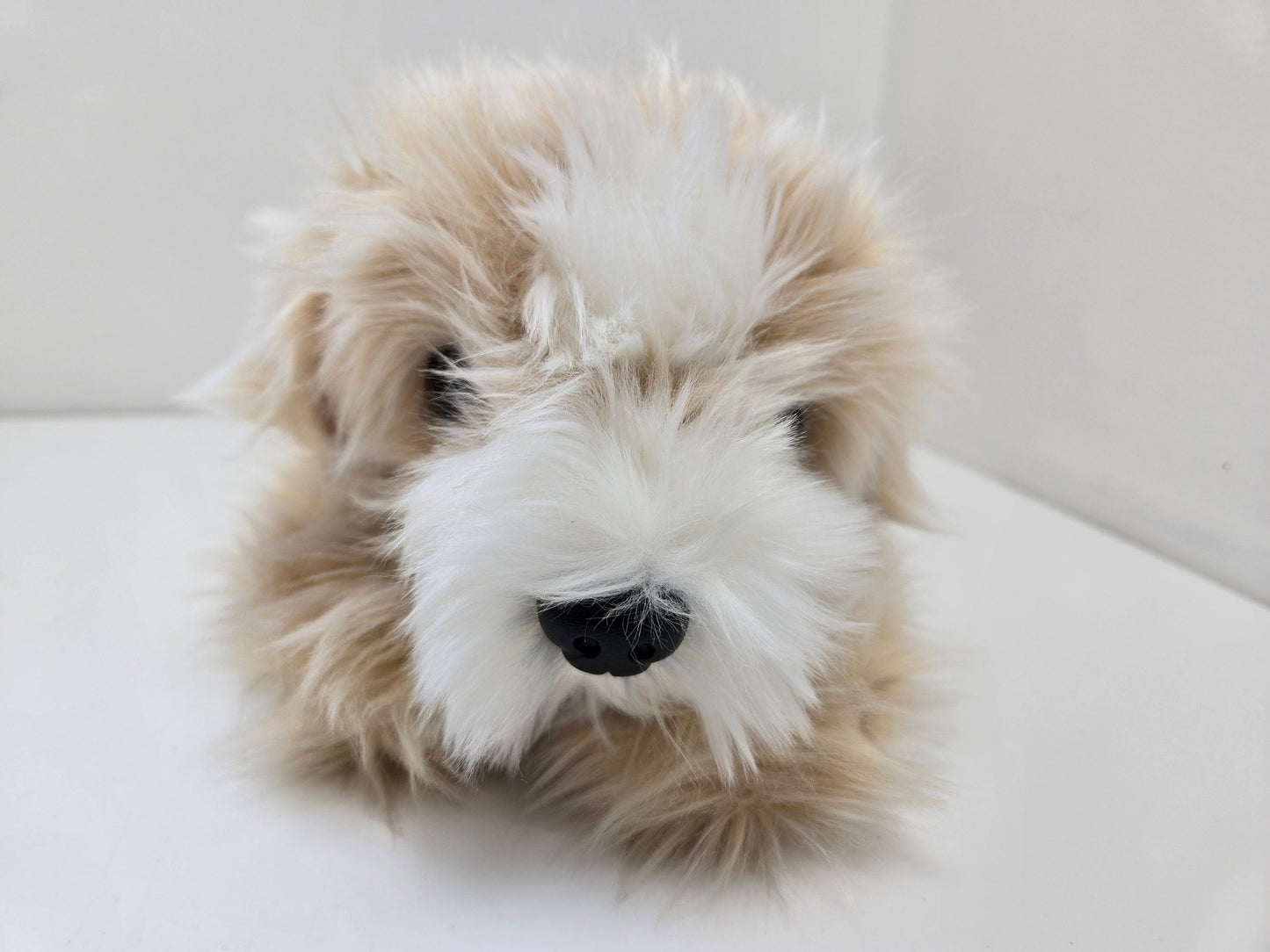 Ty Classics Collection “Jenkins” the White and Cream Fluffy Dog (12 inch)