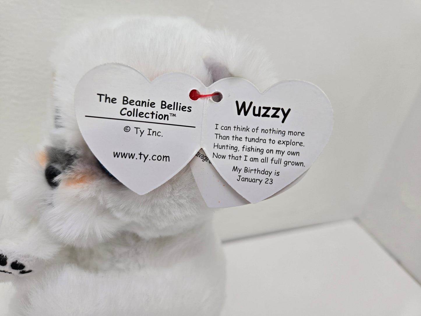 Ty Beanie Bellies “Wuzzy” the Polar Bear! (6 inch)