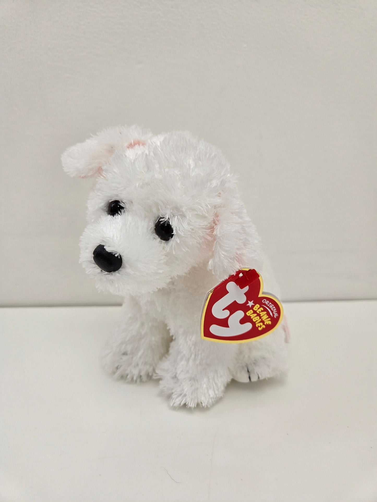 Ty Beanie Baby “Cargo” the White Dog  *Rare* (6 inch)