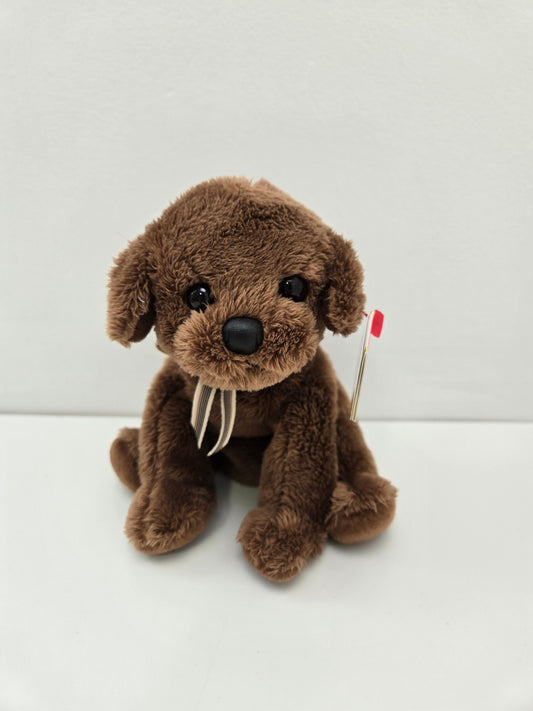 Ty Beanie Baby “Diggidy” the Brown Lab  (6 inch) *Rare*