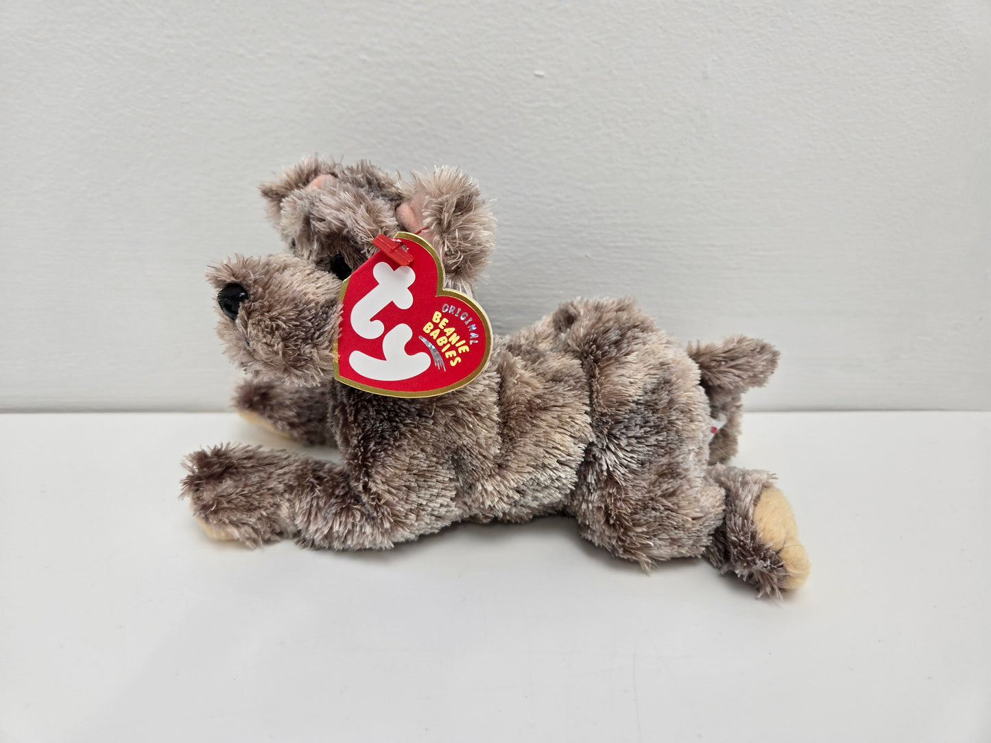 Ty Beanie Baby “Cutesy” the Puppy Dog! (6.5 inch)