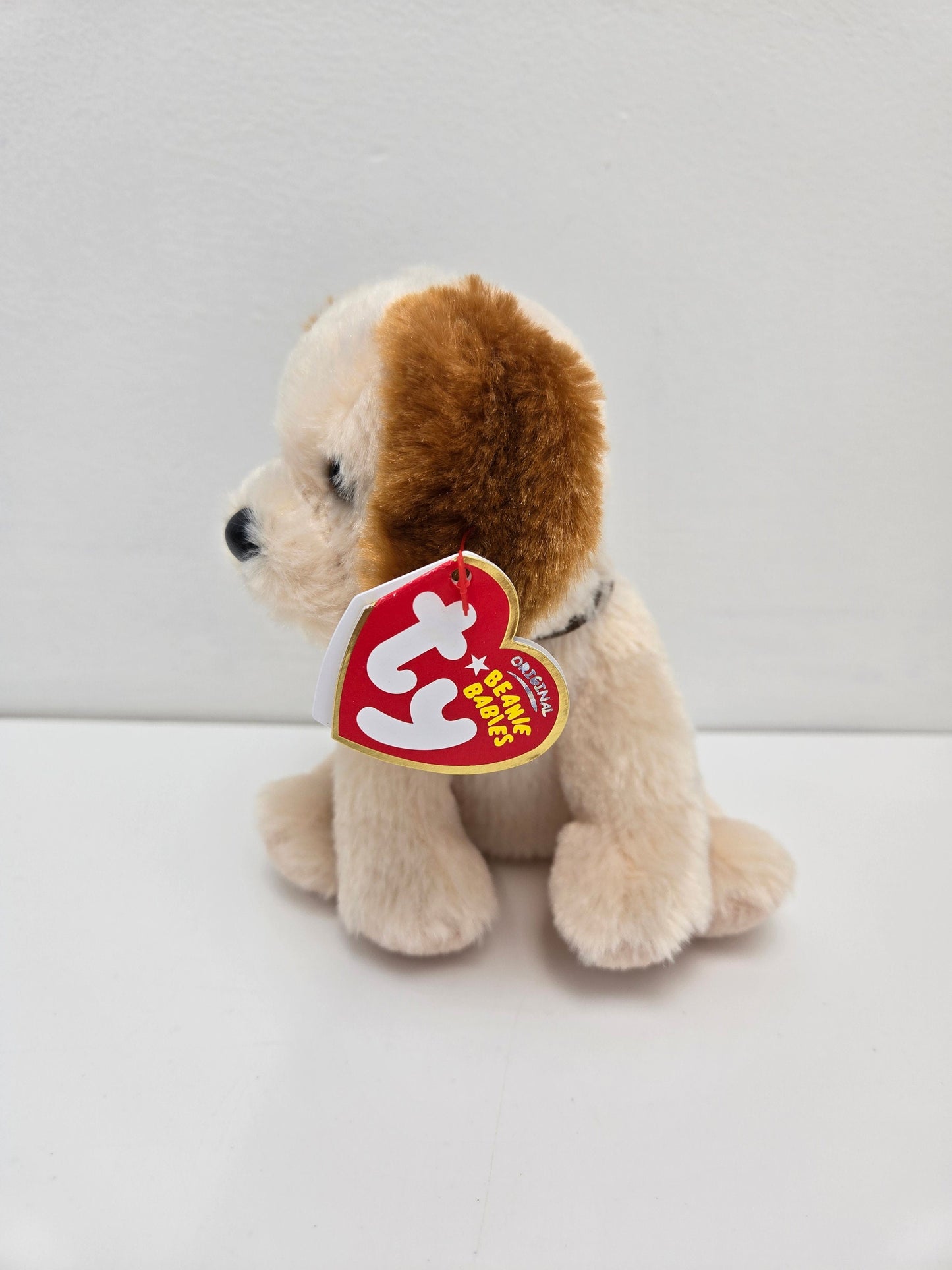 Ty Beanie Baby “Boomer” the Dog ! (6 inch)