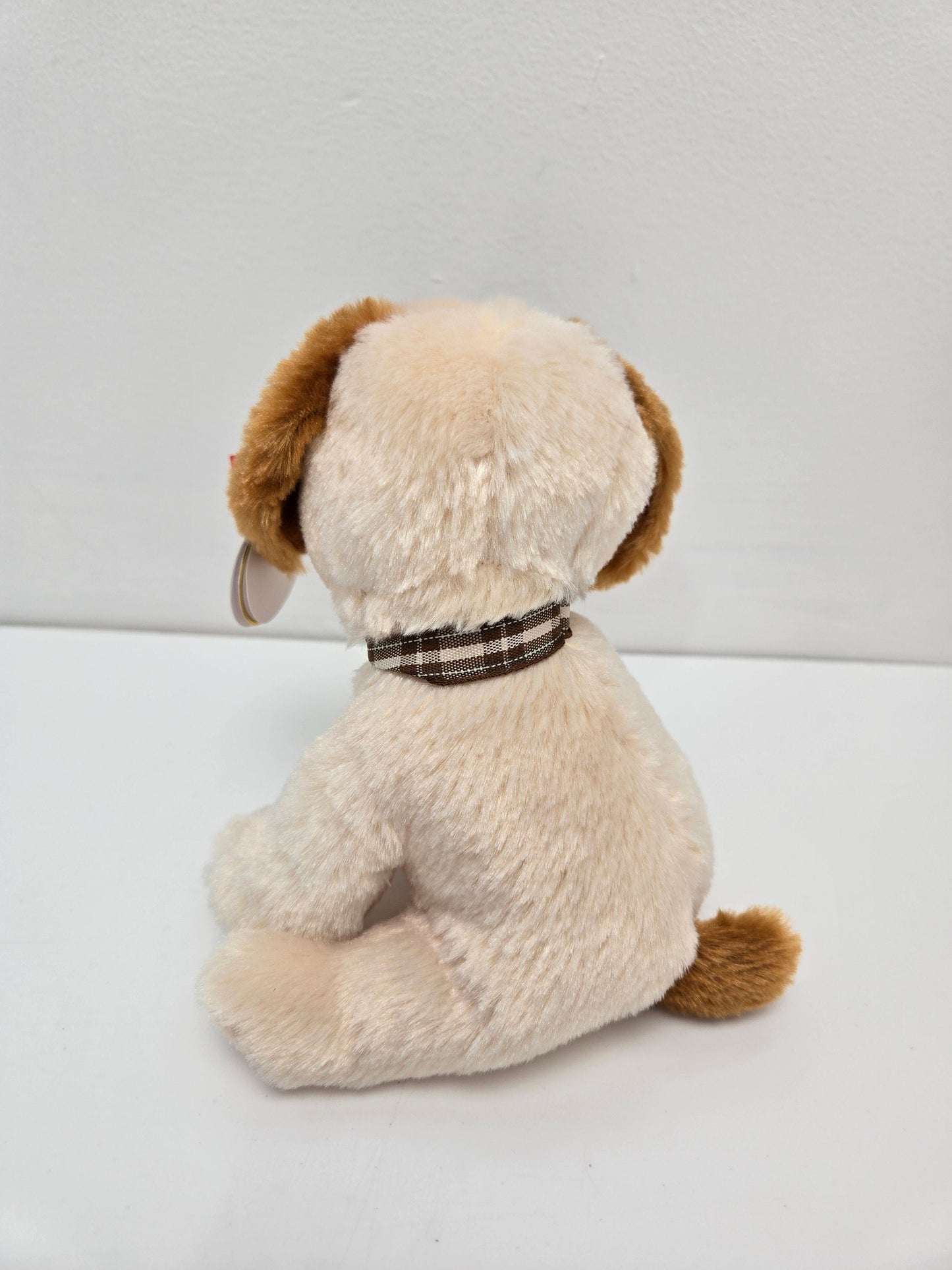 Ty Beanie Baby “Boomer” the Dog ! (6 inch)