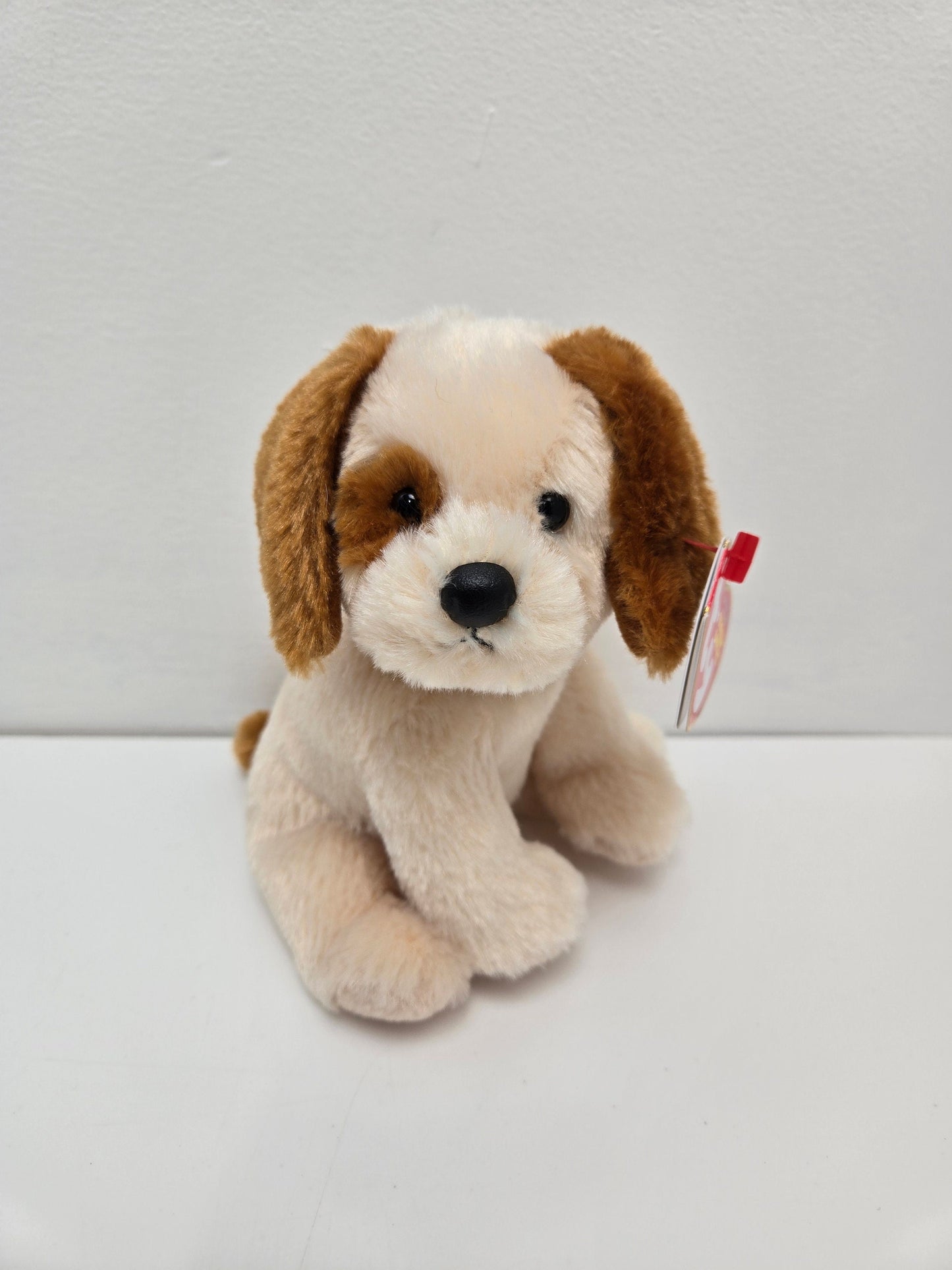 Ty Beanie Baby “Boomer” the Dog ! (6 inch)