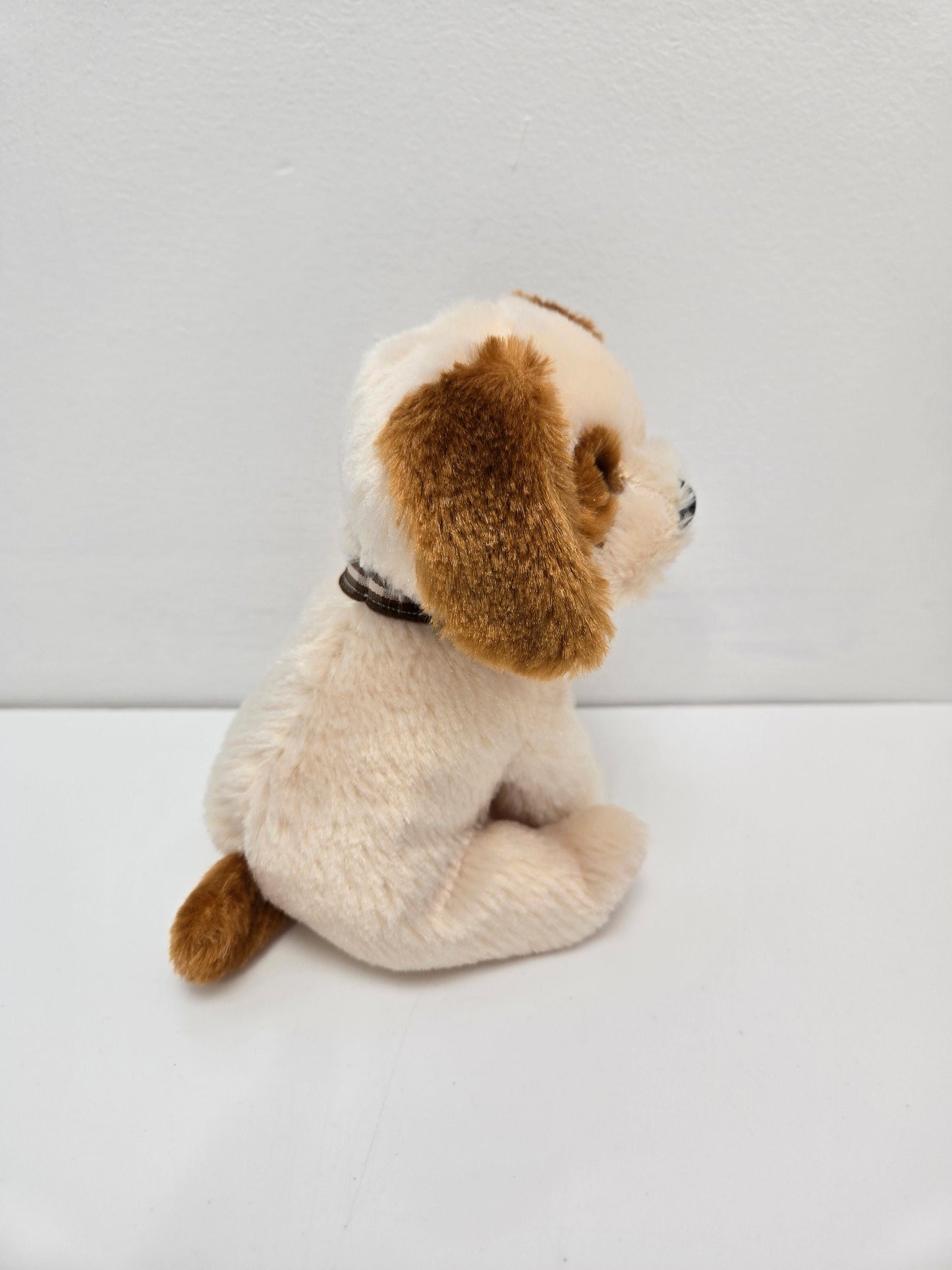 Ty Beanie Baby “Boomer” the Dog ! (6 inch)