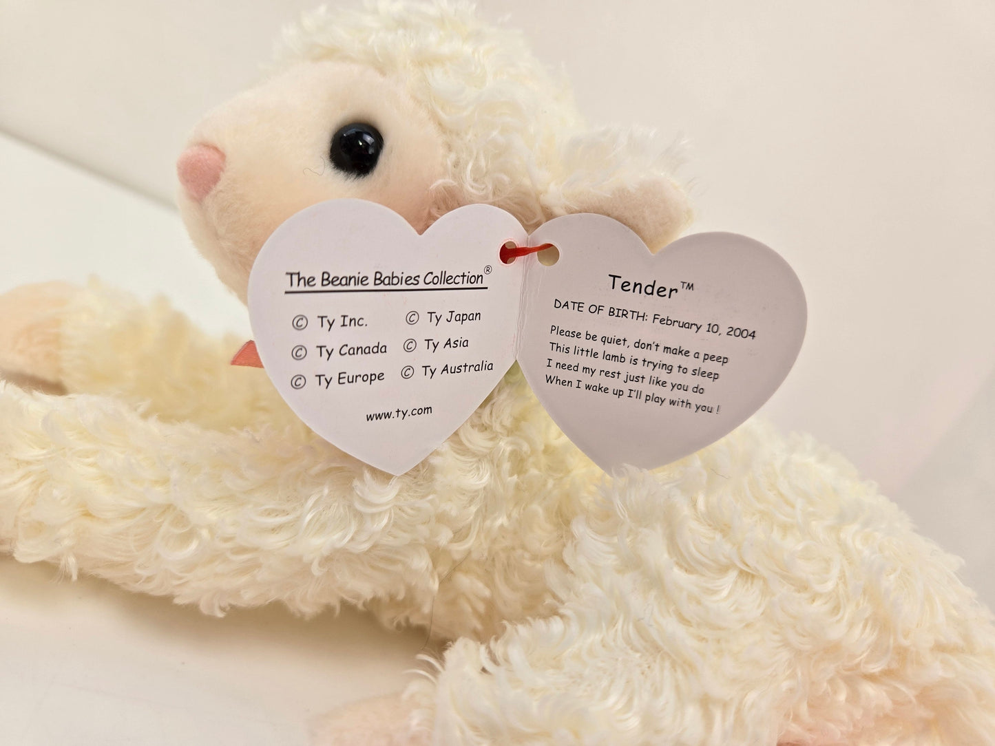 Ty Beanie Baby “Tender” the Lamb! (7 inch)