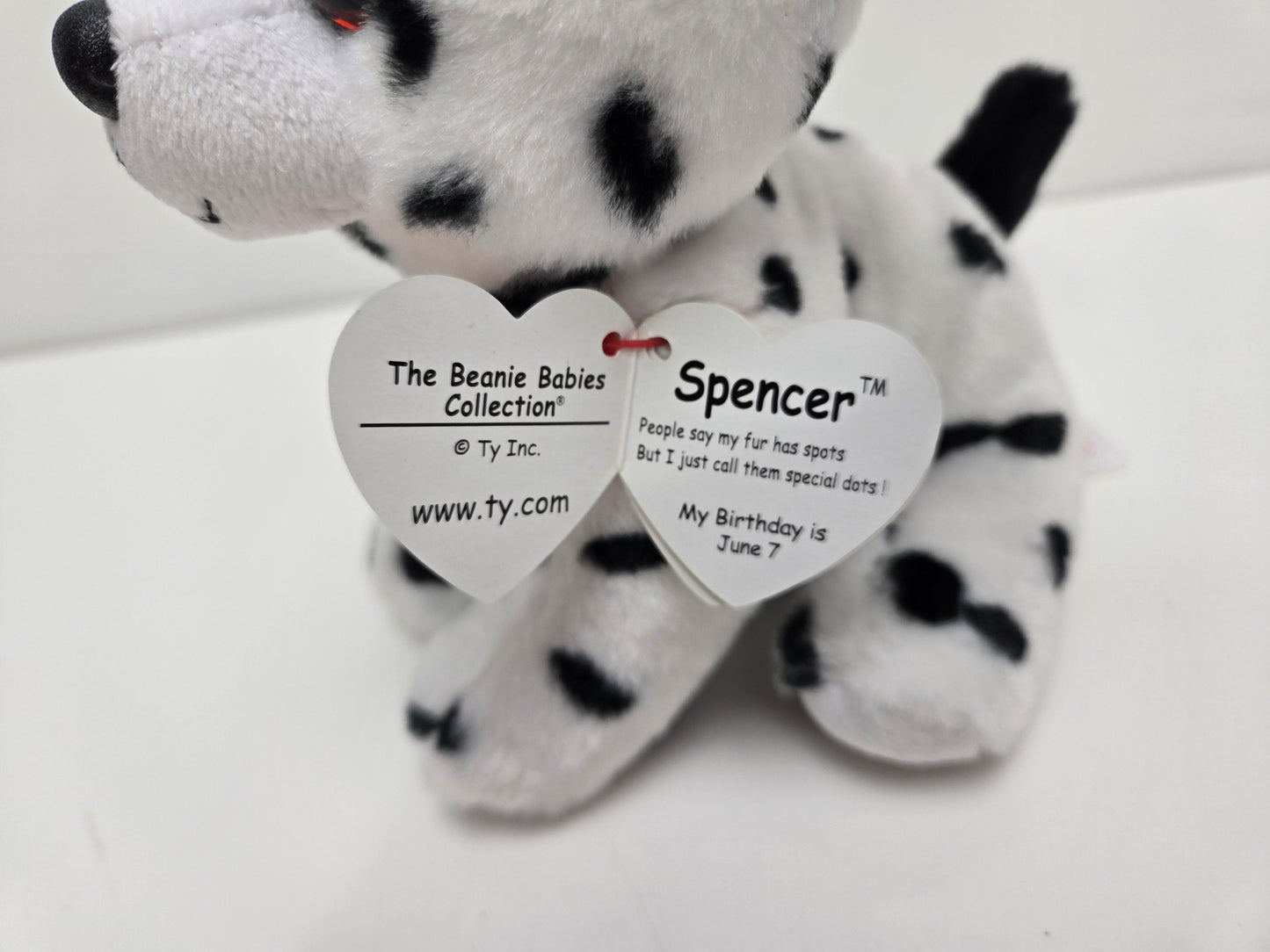 Ty Beanie Baby “Spencer” the Dalmatian  (5.5 inch)