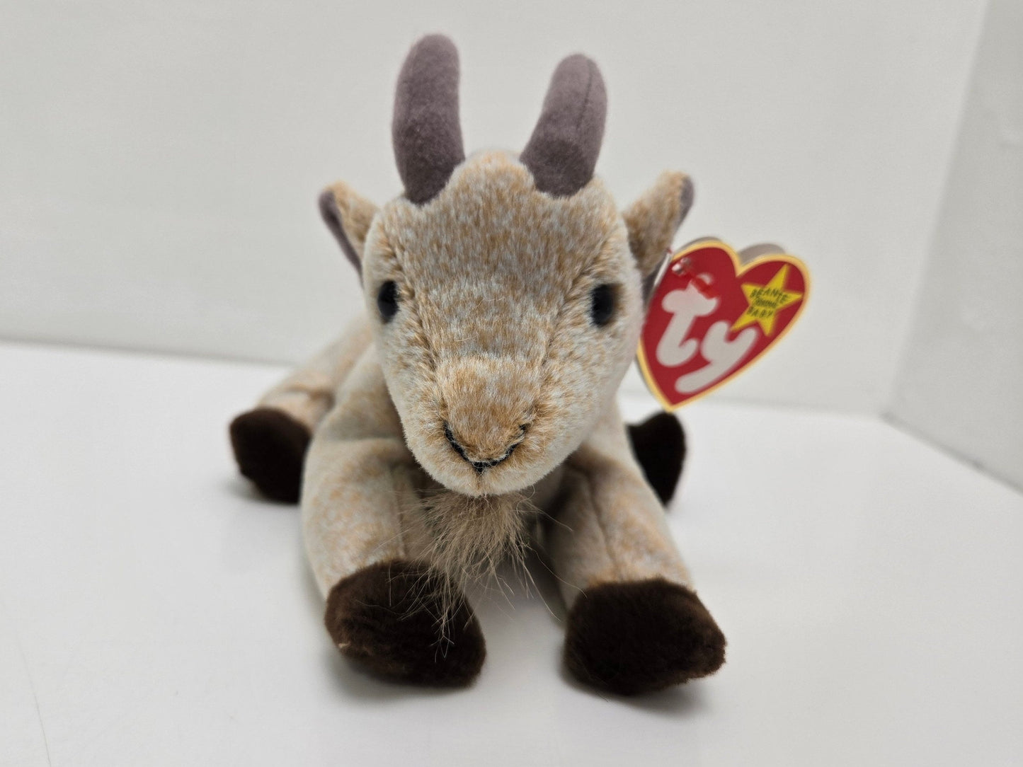 Ty Beanie Baby “Goatee” the Adorable Goat! (6 inch)