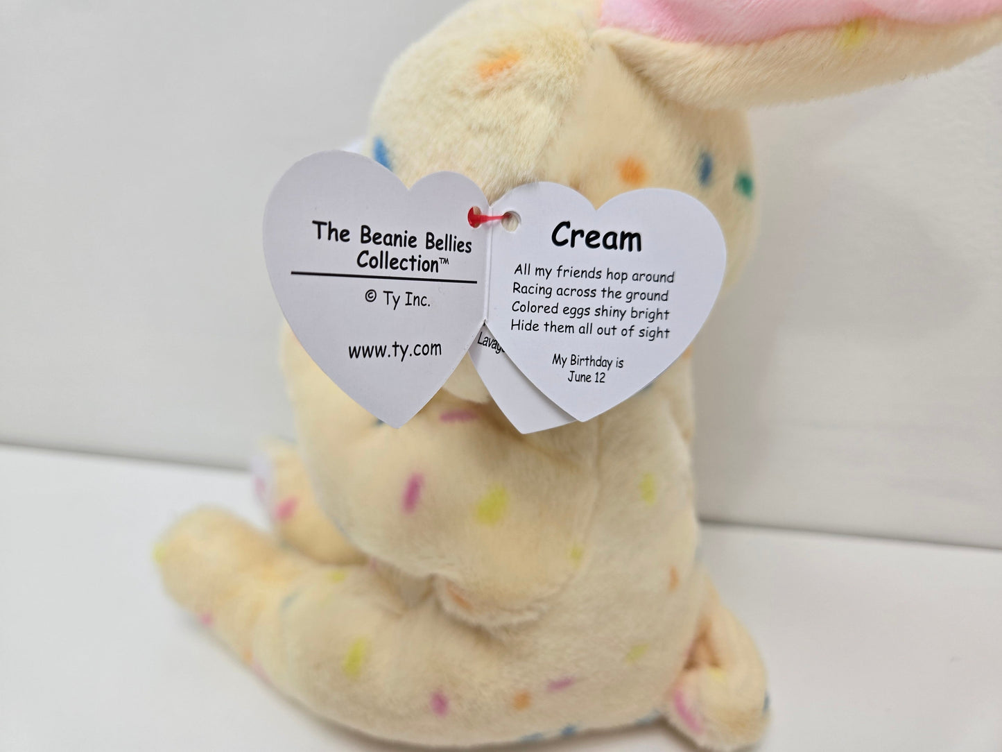 Ty Beanie Bellies “Cream” the Bunny Rabbit! (7.5 inch)