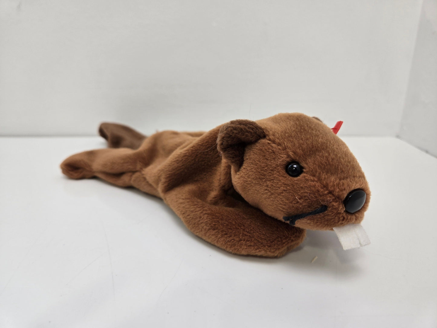 Ty Beanie Baby “Bucky” the Beaver (8.5 inch)