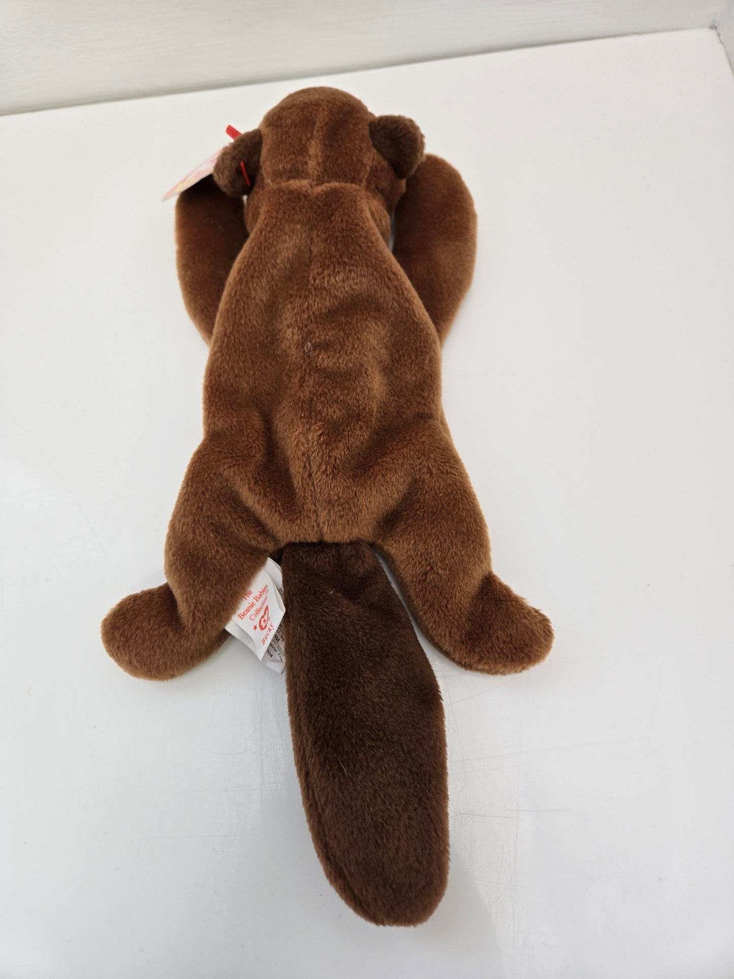 Ty Beanie Baby “Bucky” the Beaver (8.5 inch)