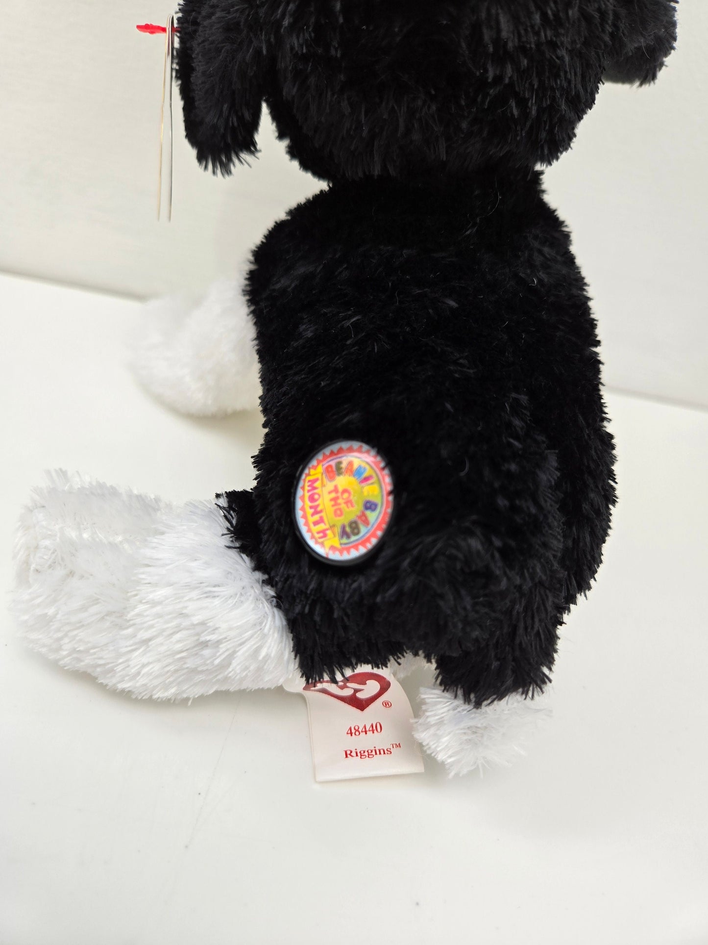 Ty Beanie Baby “Riggins” the Dog - Beanie Baby of the Month *Rare* (6 inch)