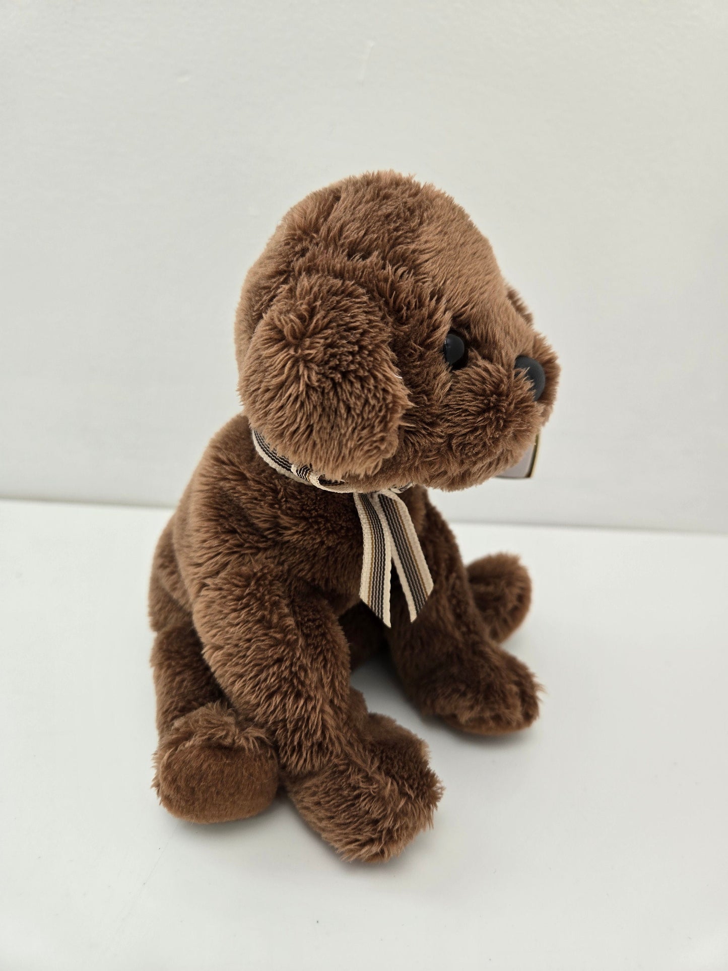 Ty Beanie Baby “Diggidy” the Brown Lab  (6 inch) *Rare*