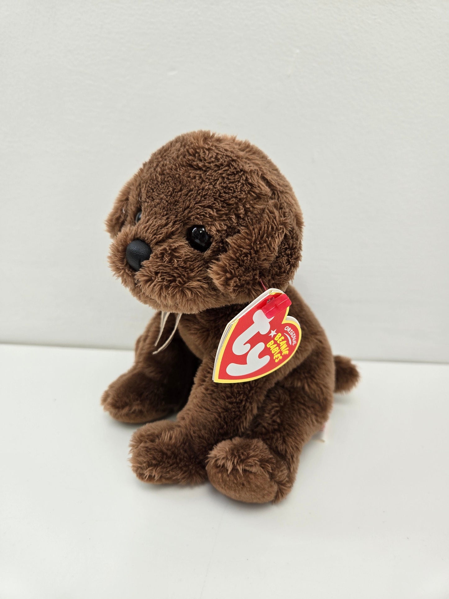 Ty Beanie Baby “Diggidy” the Brown Lab  (6 inch) *Rare*