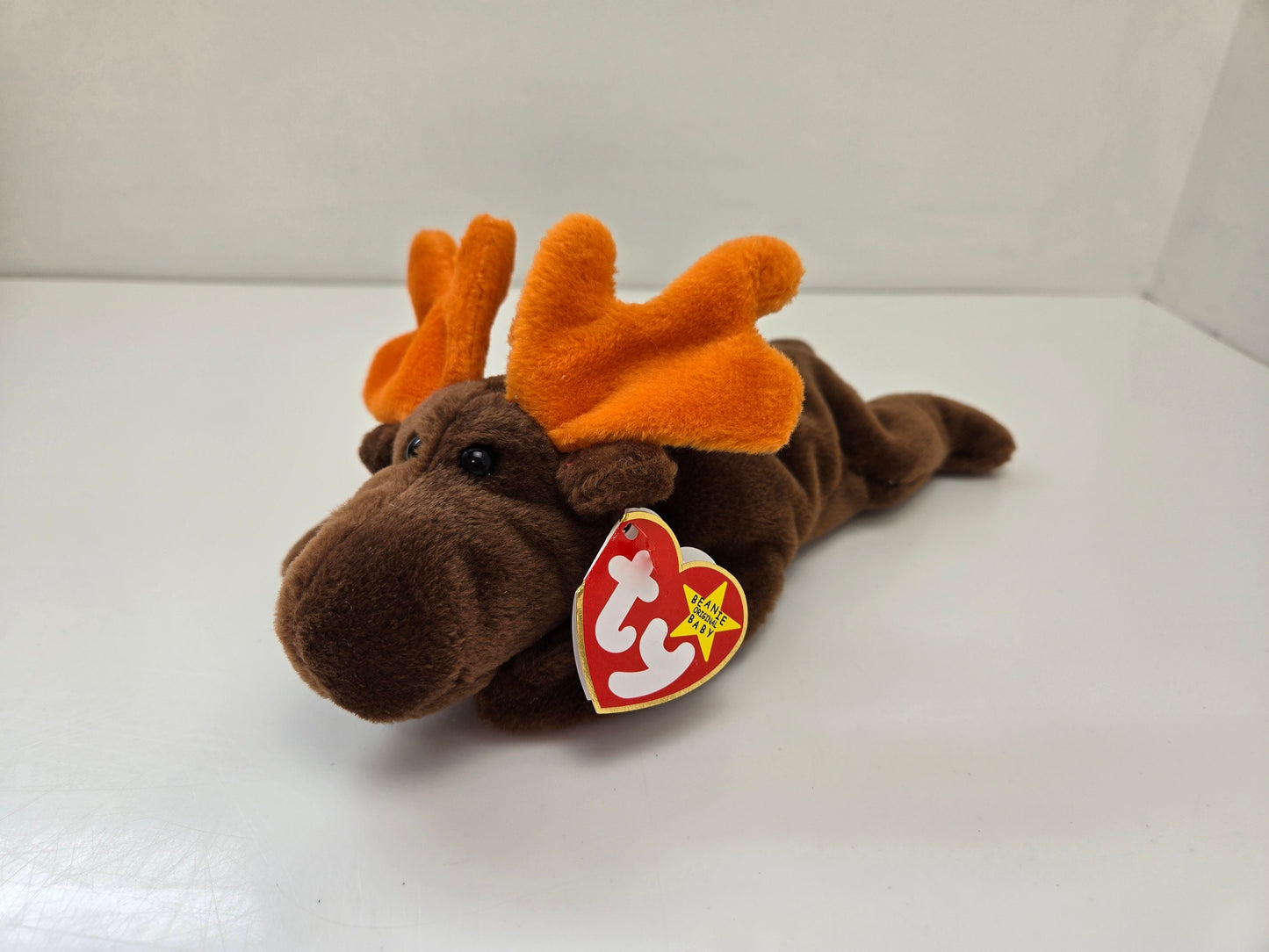 Ty Beanie Baby “Chocolate” the Moose   (9 inch)