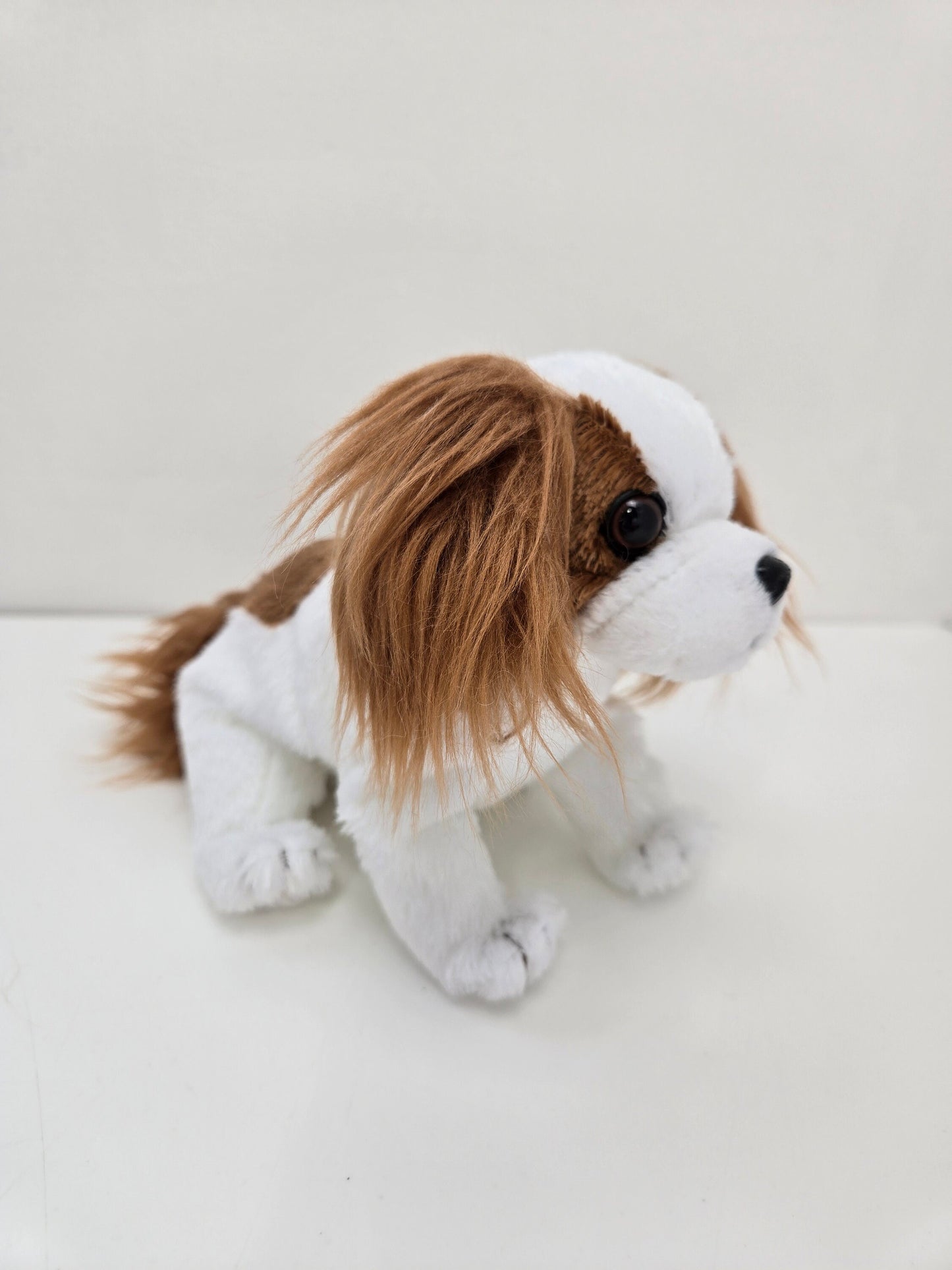 Ty Beanie Baby “Regal” the King Charles Spaniel Dog! *Rare* (6 inch)