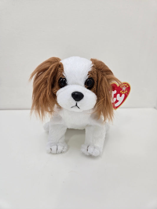 Ty Beanie Baby “Regal” the King Charles Spaniel Dog! *Rare* (6 inch)