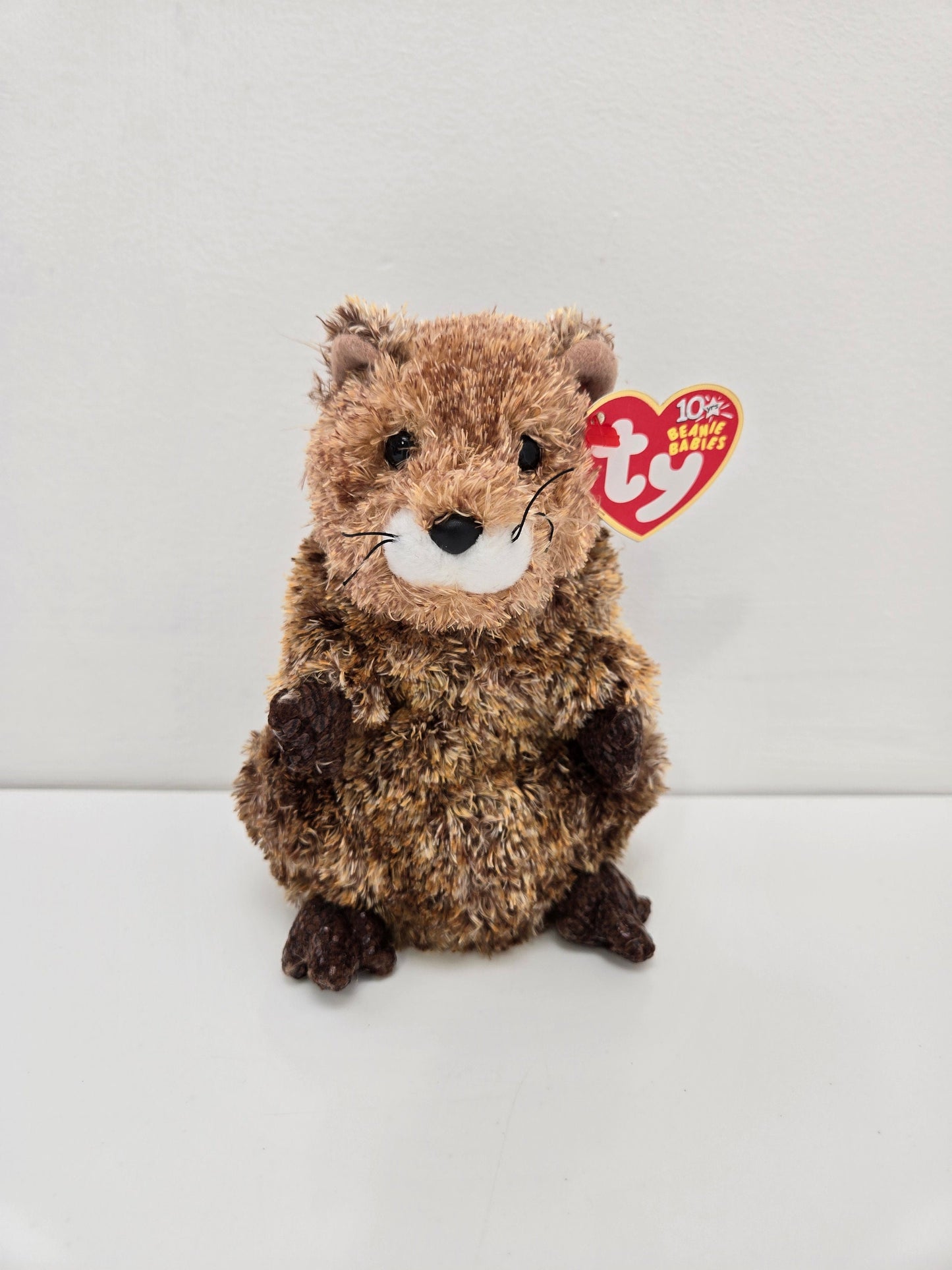 Ty Beanie Baby “Punxsutawn-e Phil” the Groundhog Day  - Internet Exclusive  (6.5 inch)