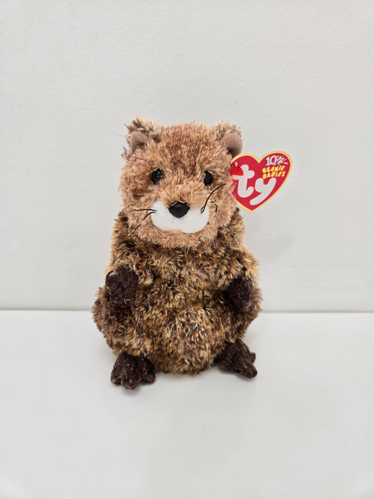 Ty Beanie Baby “Punxsutawn-e Phil” the Groundhog Day  - Internet Exclusive  (6.5 inch)