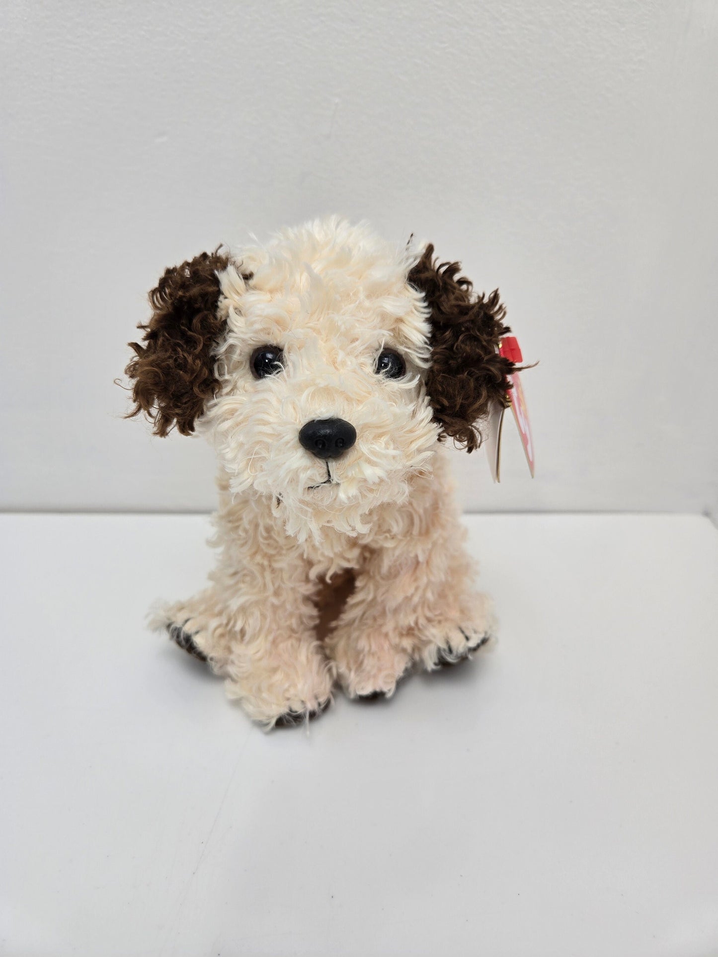 Ty Beanie Baby “Sneakers” the Dog  (6 inch)