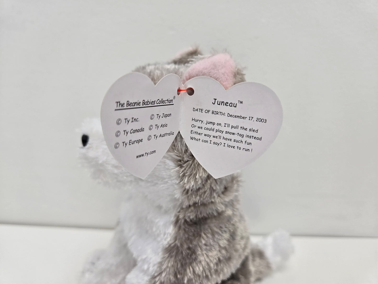 Ty Beanie Baby “Juneau” the Husky Dog  (6 inch)