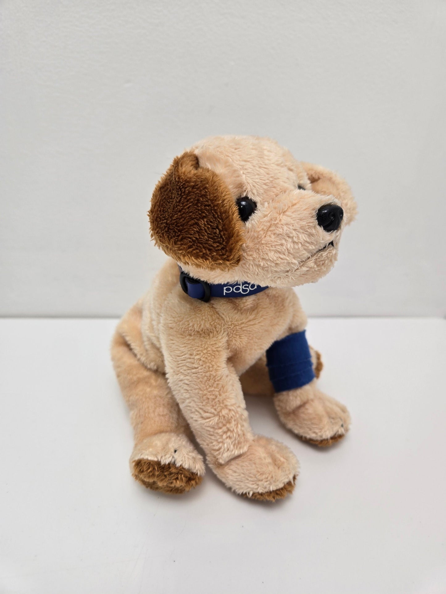 Ty Beanie Baby “Pads” the PDSA Dog  - UK Exclusive *Rare* (6 inch)