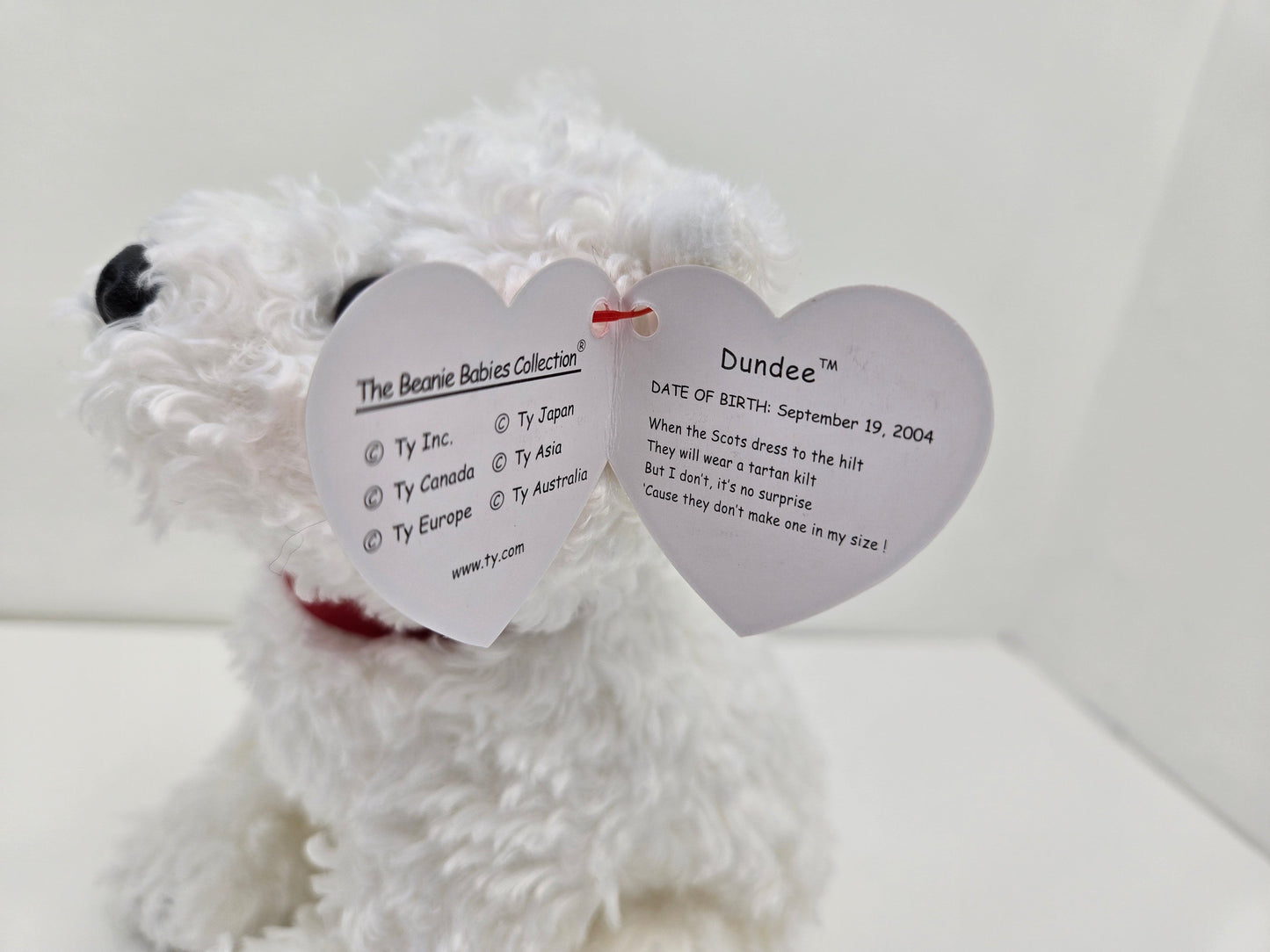 Ty Beanie Baby “Dundee” the White Dog (5.5 inch)