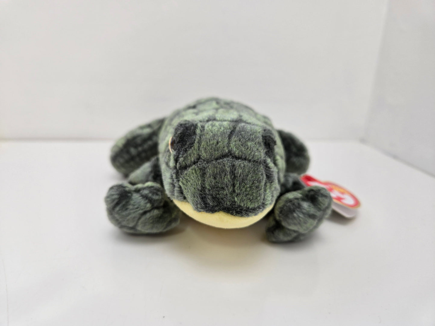 Ty Beanie Baby “Ponder” the Frog! (6 inch)