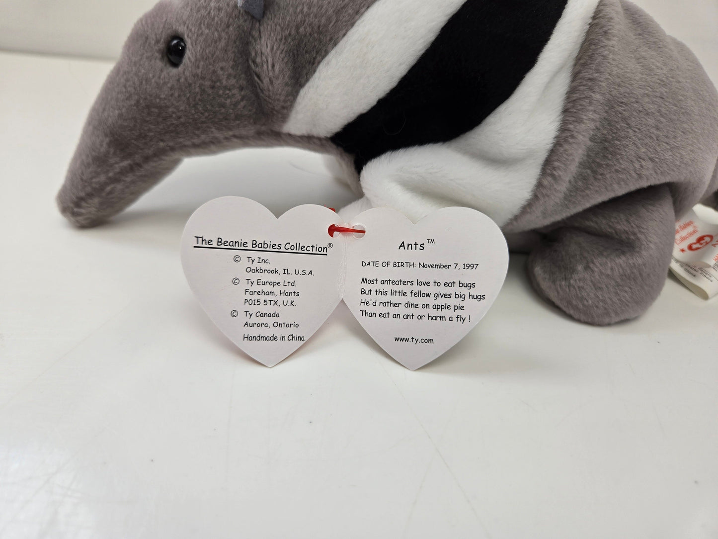 Ty Beanie Baby “Ants” the Anteater (8.5 inch)