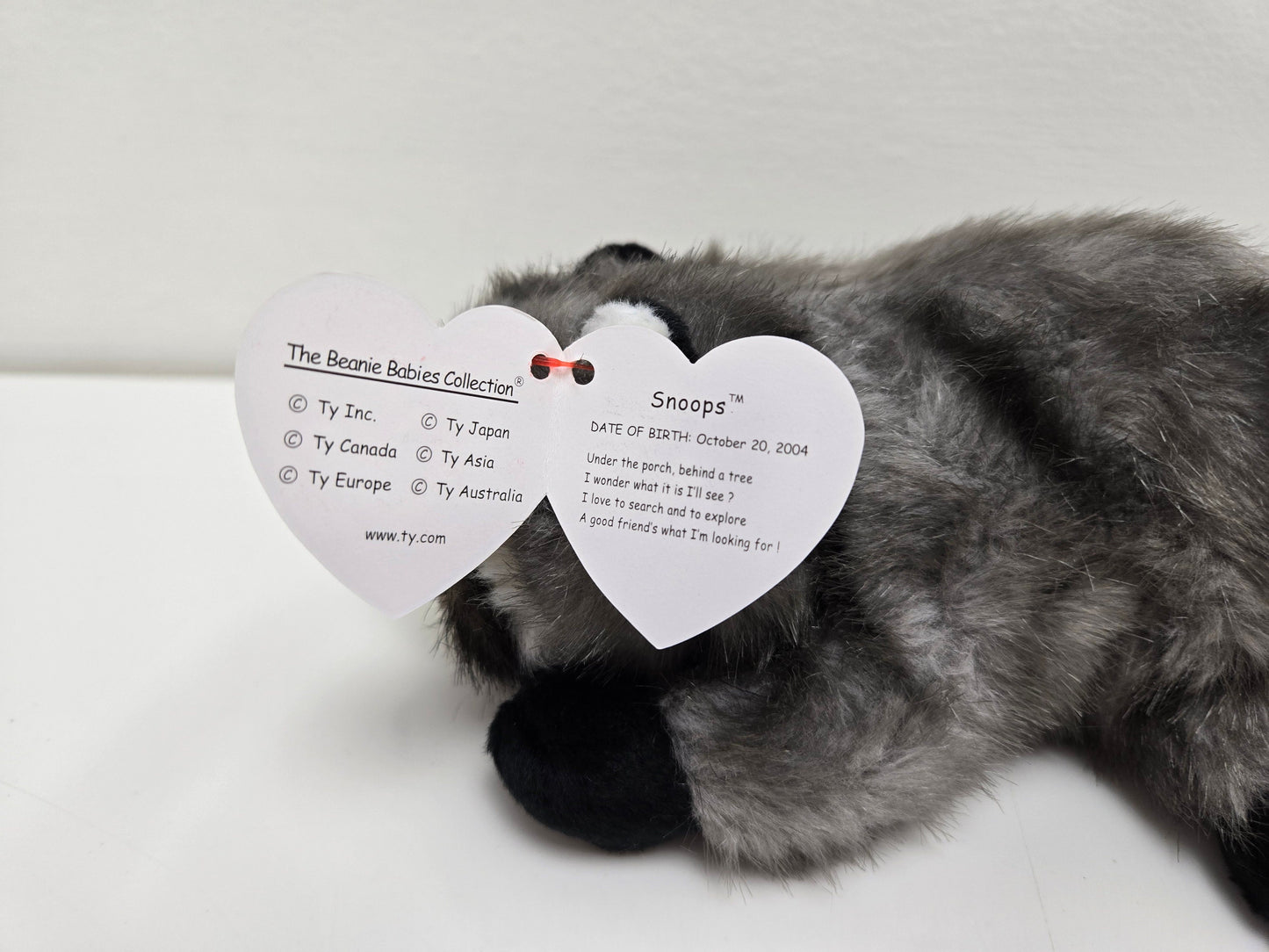 Ty Beanie Baby “Snoops” the Racoon ! (6.5 inch)