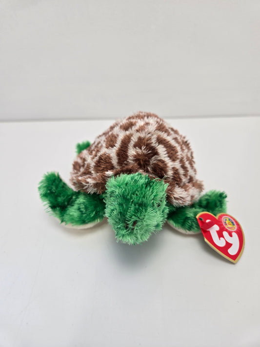 Ty Beanie Baby “Tortuga” the Turtle - Beanie Baby of the Month Winner *Rare* (6 inch)