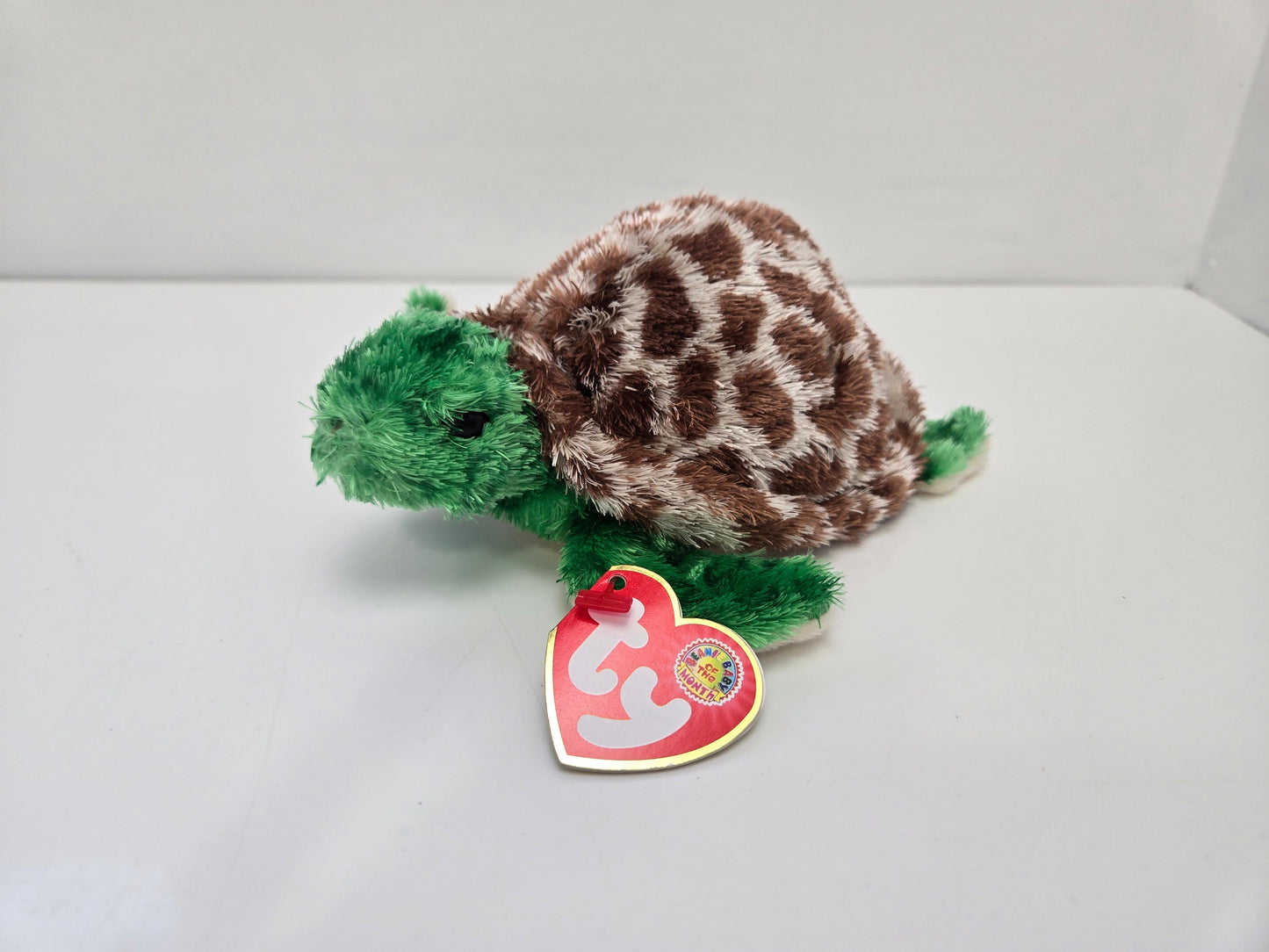 Ty Beanie Baby “Tortuga” the Turtle - Beanie Baby of the Month Winner *Rare* (6 inch)