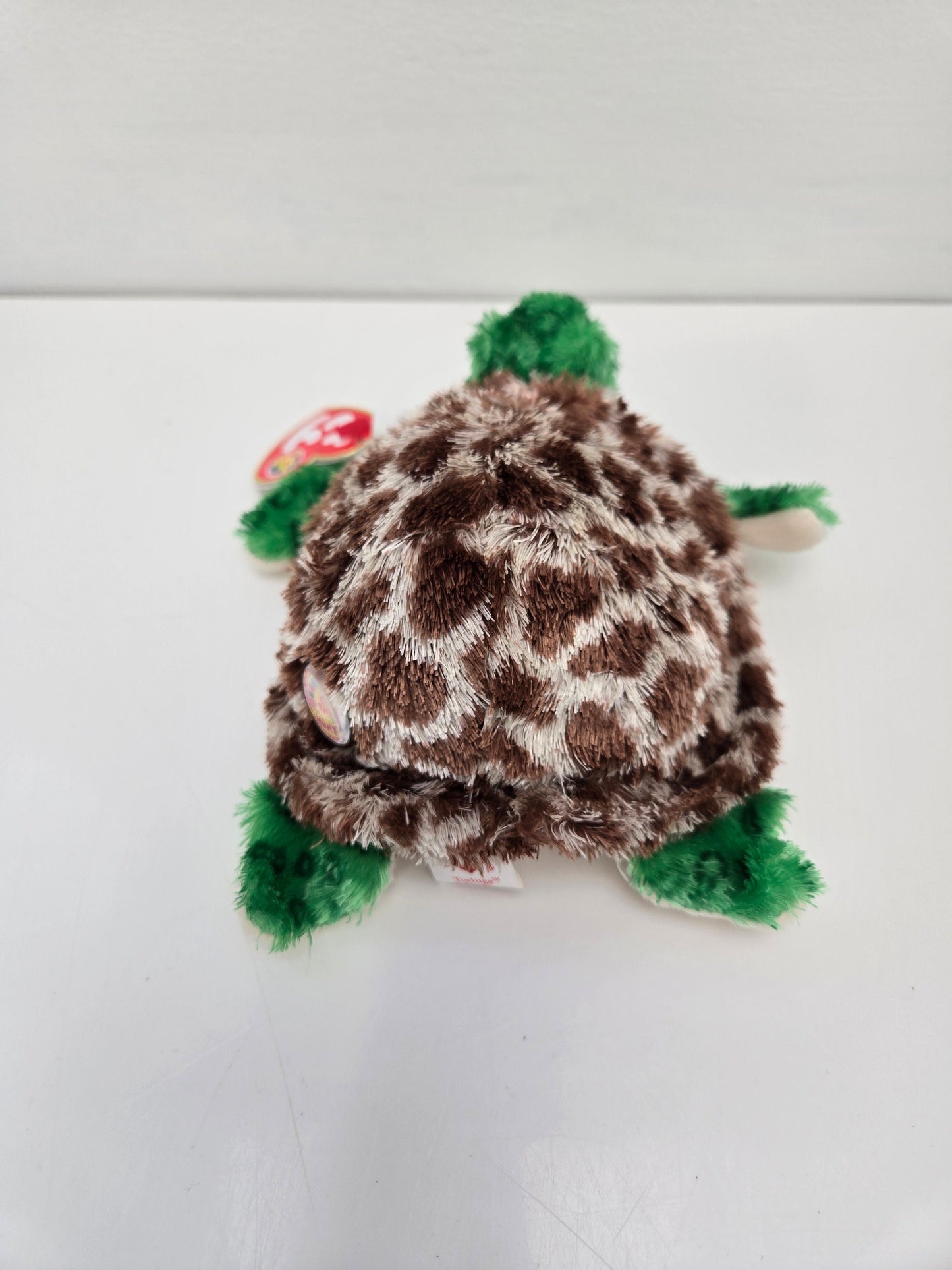 Ty Beanie Baby “Tortuga” the Turtle - Beanie Baby of the Month Winner *Rare* (6 inch)