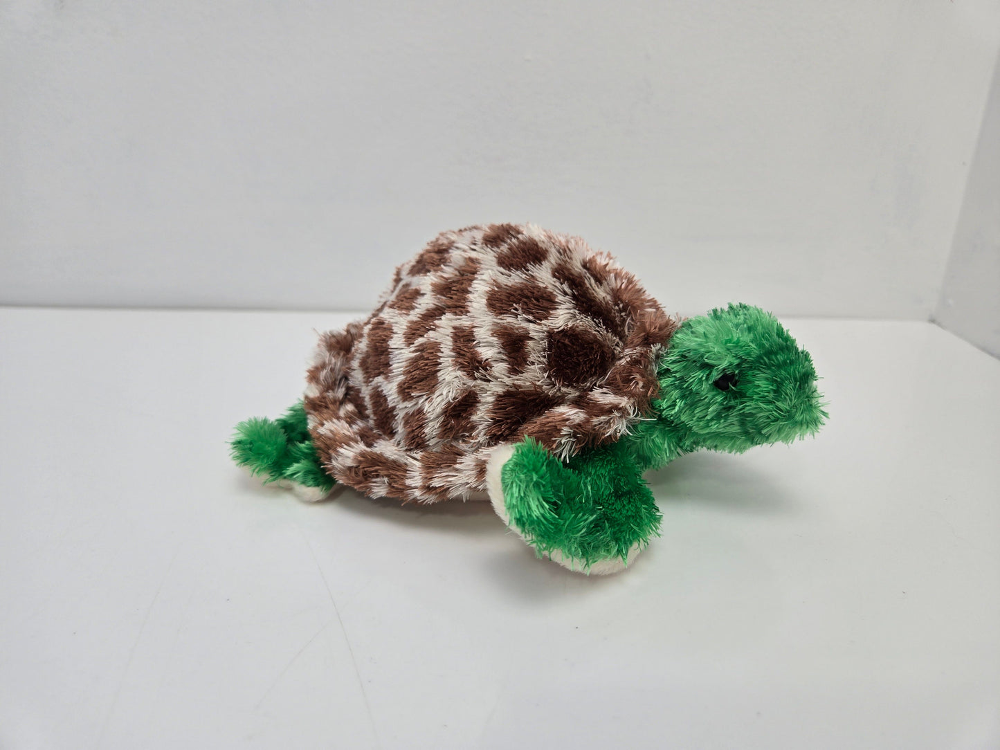 Ty Beanie Baby “Tortuga” the Turtle - Beanie Baby of the Month Winner *Rare* (6 inch)